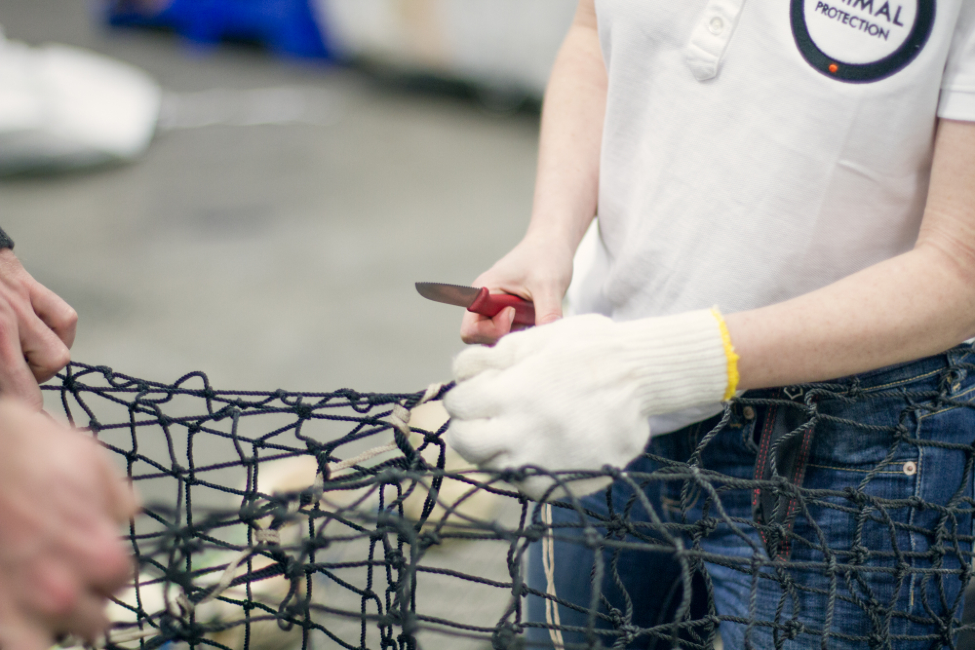  A call to save our seas