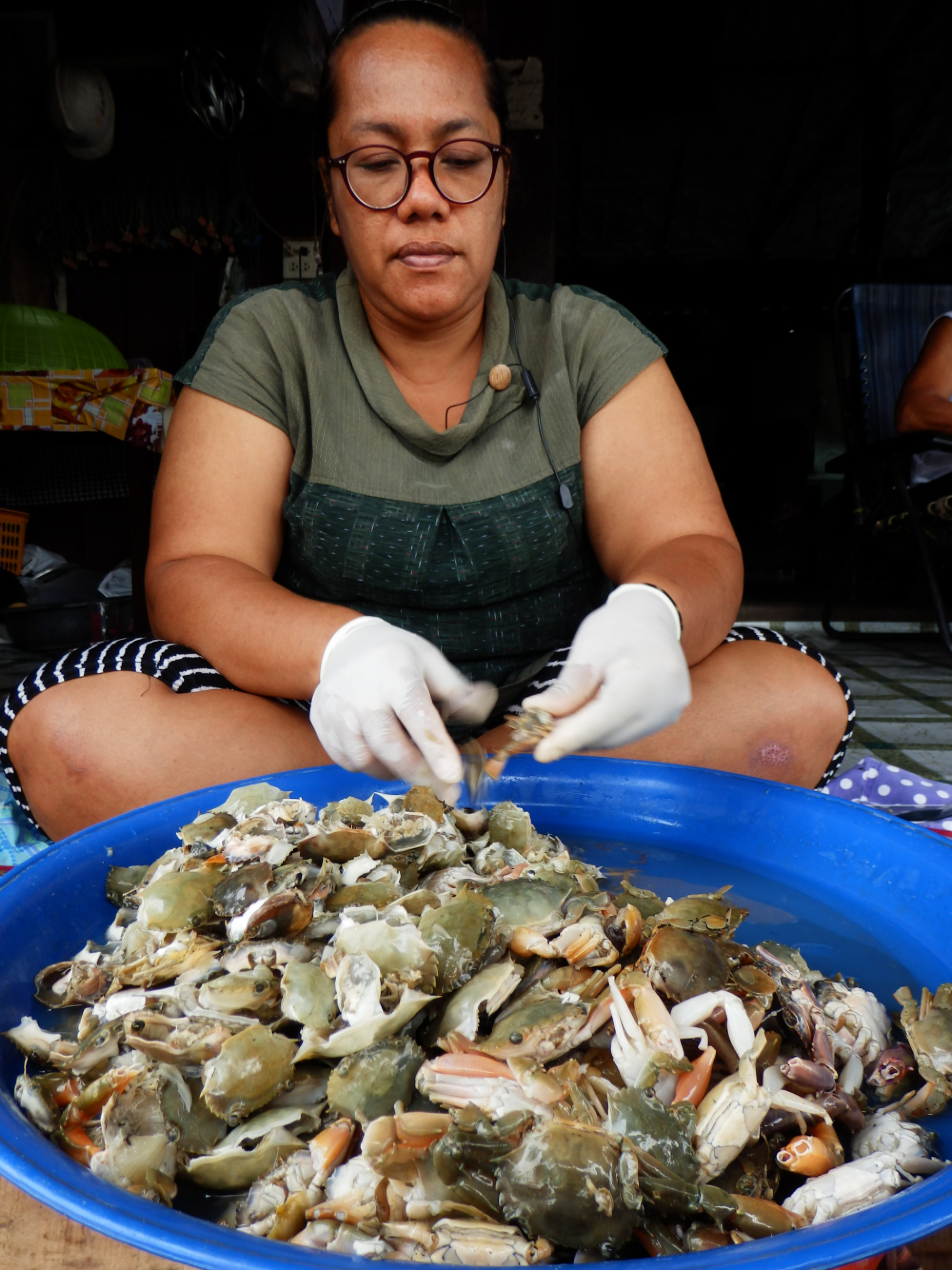 Holidays without borders 