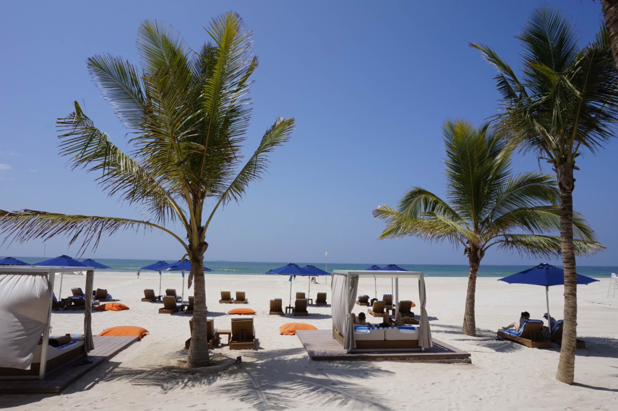 Chilling out by the Arabian Sea 