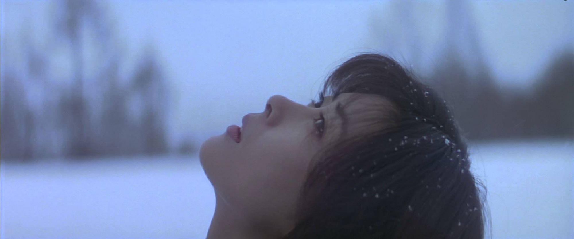 Holidays for the imagination