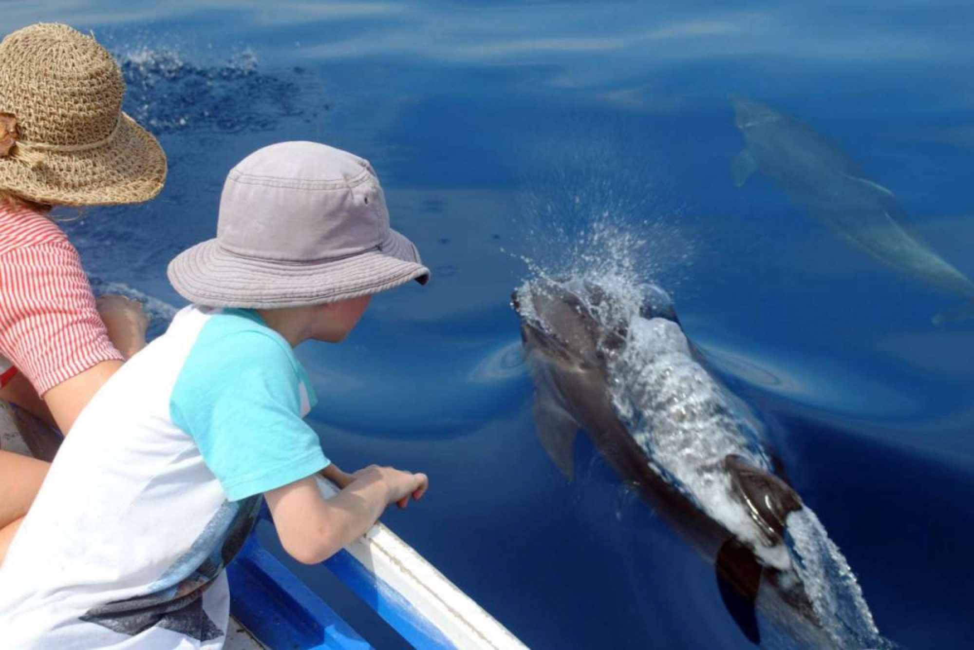 Life on the wild side 