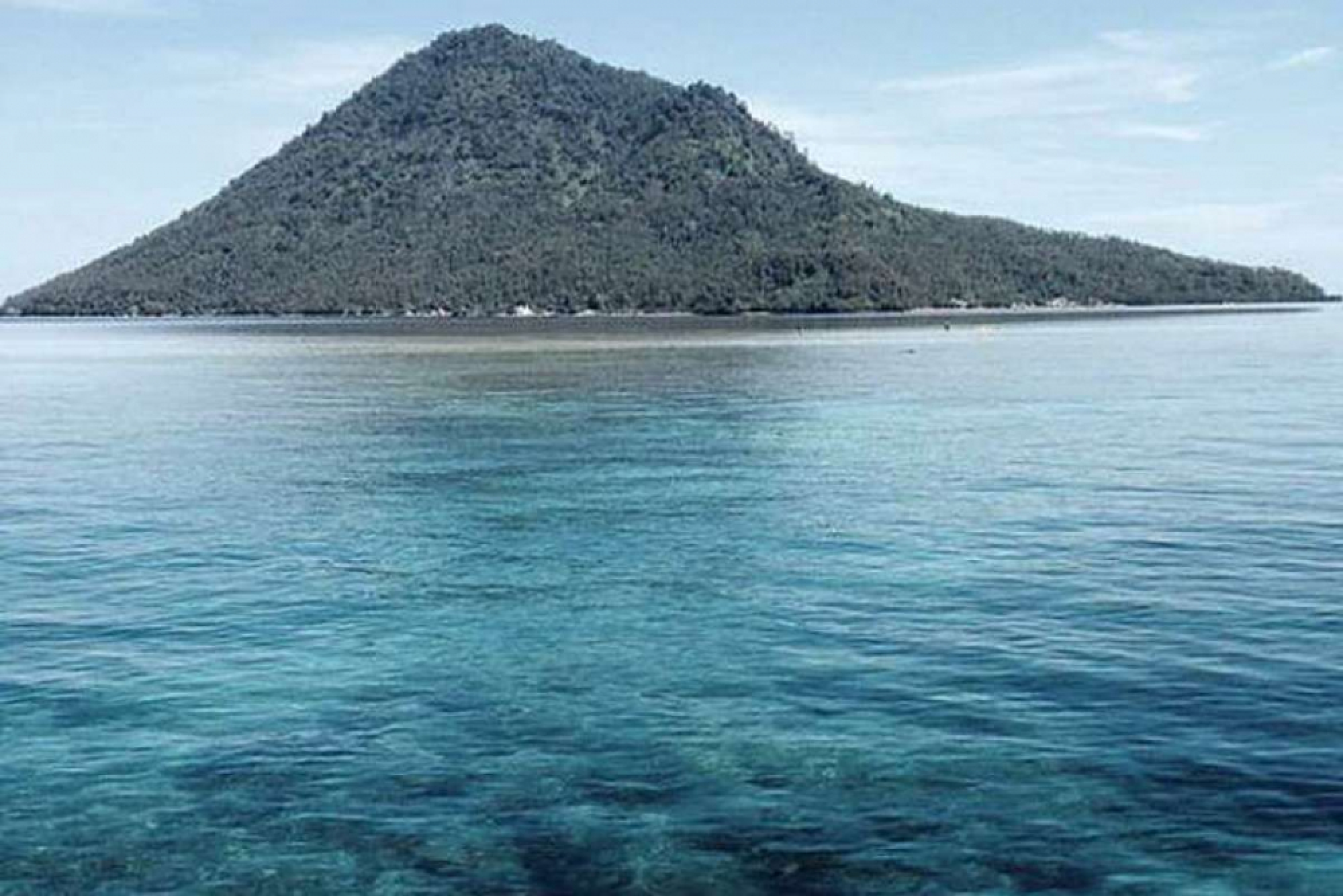 Life on the wild side 