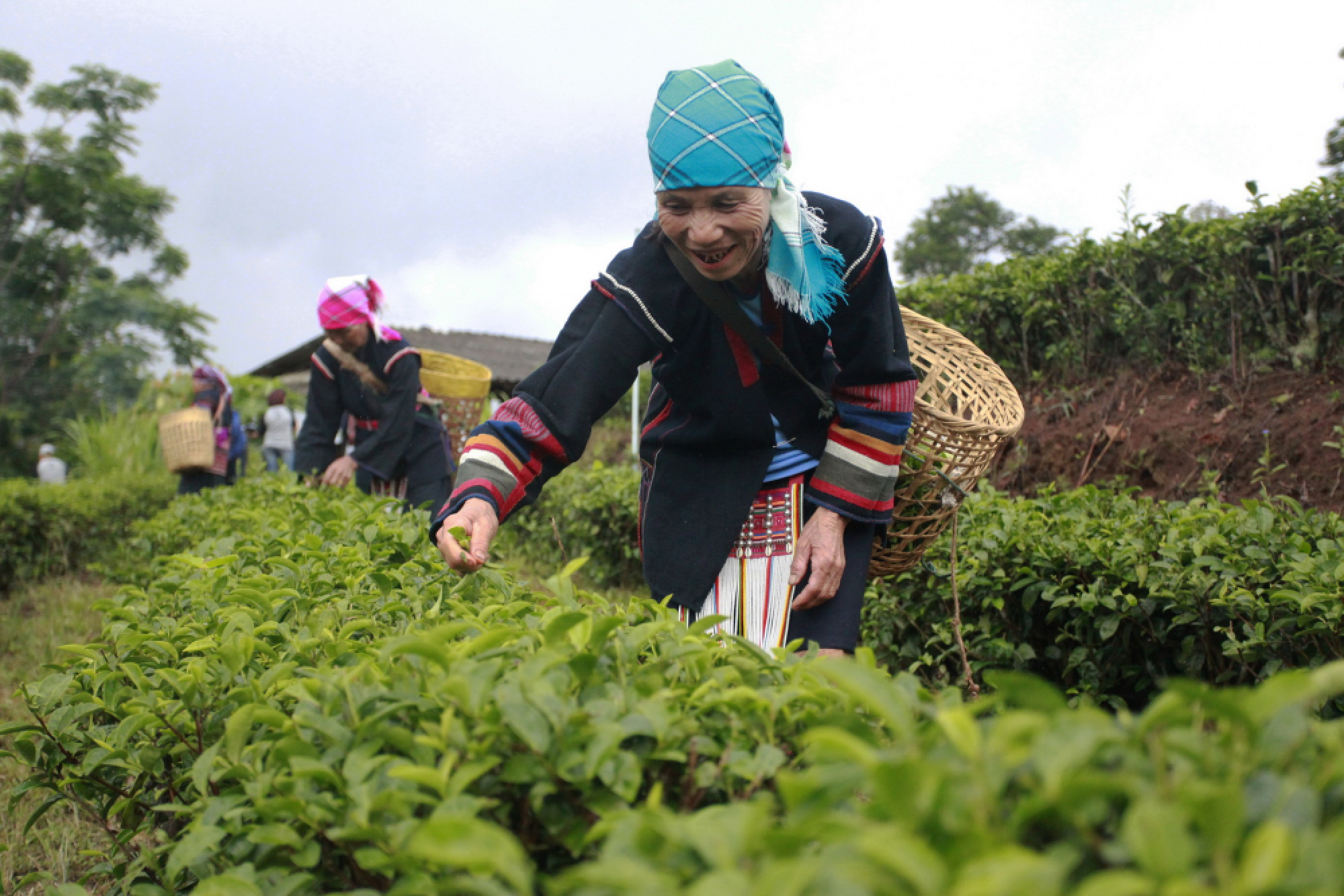 A safe and sustainable life