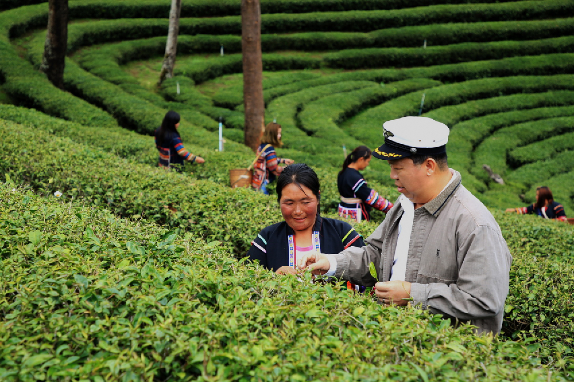 A safe and sustainable life