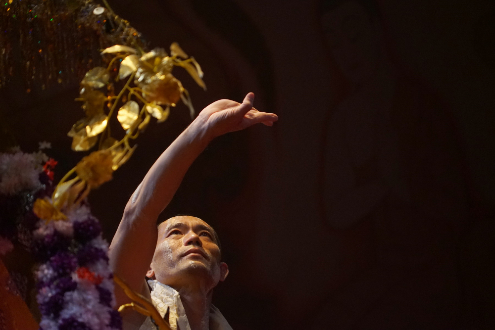 Fellowship of the elephant