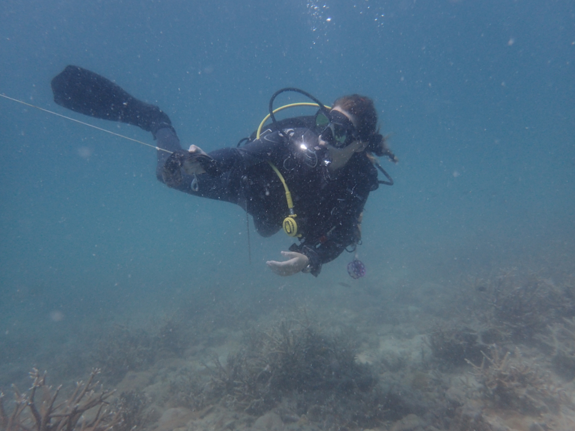 Missing Russian woman’s mother arrives in Koh Tao