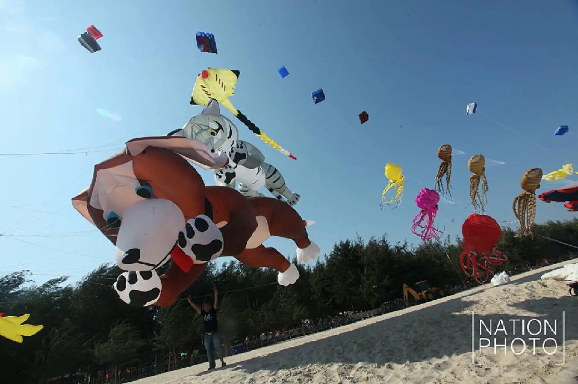  Kites fill Cha-am sky