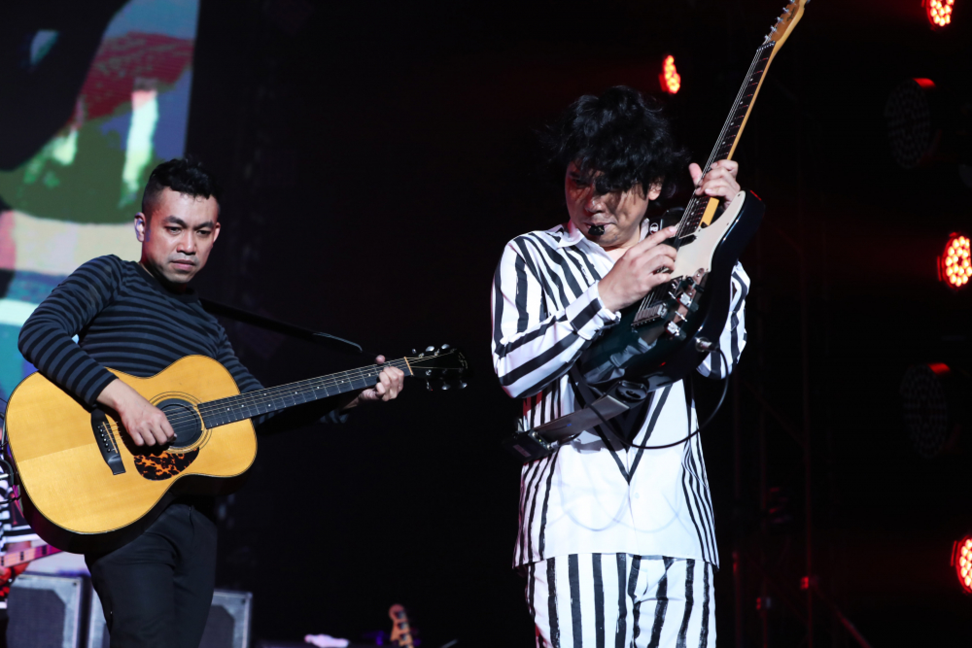 ModernDog gets barking mad at anniversary show