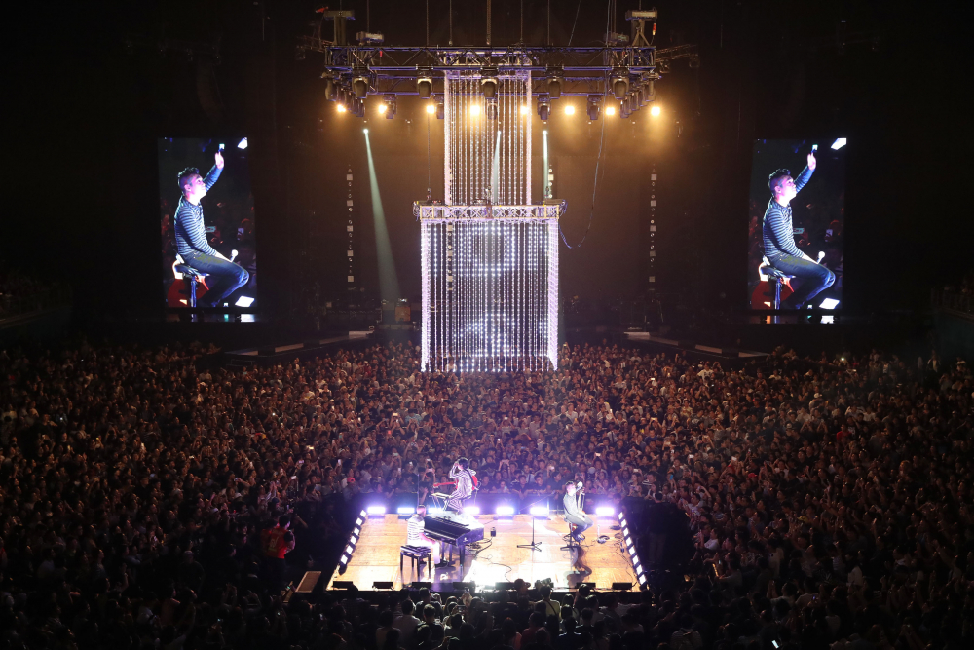 ModernDog gets barking mad at anniversary show