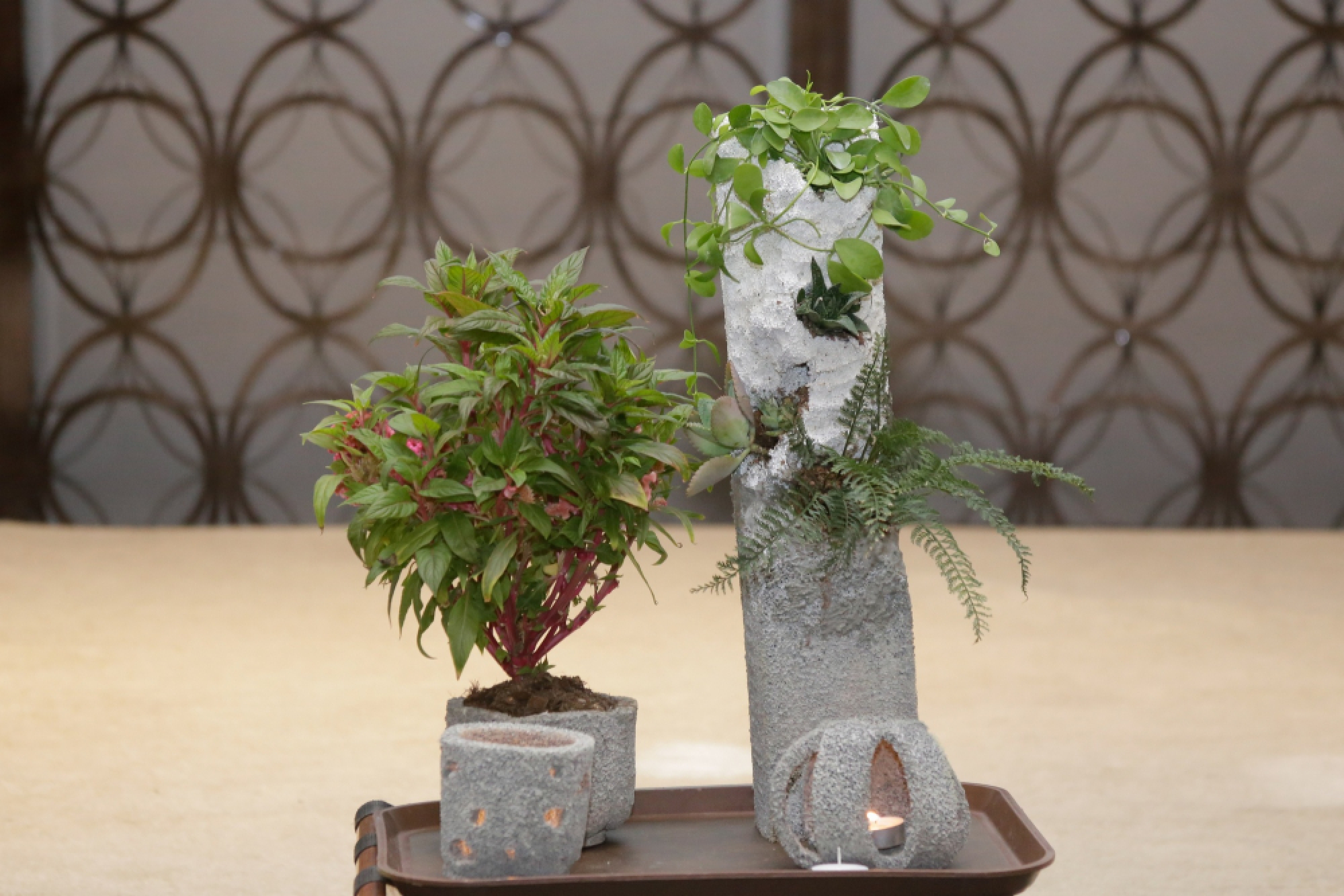 Students show how ‘upcycling’ is done