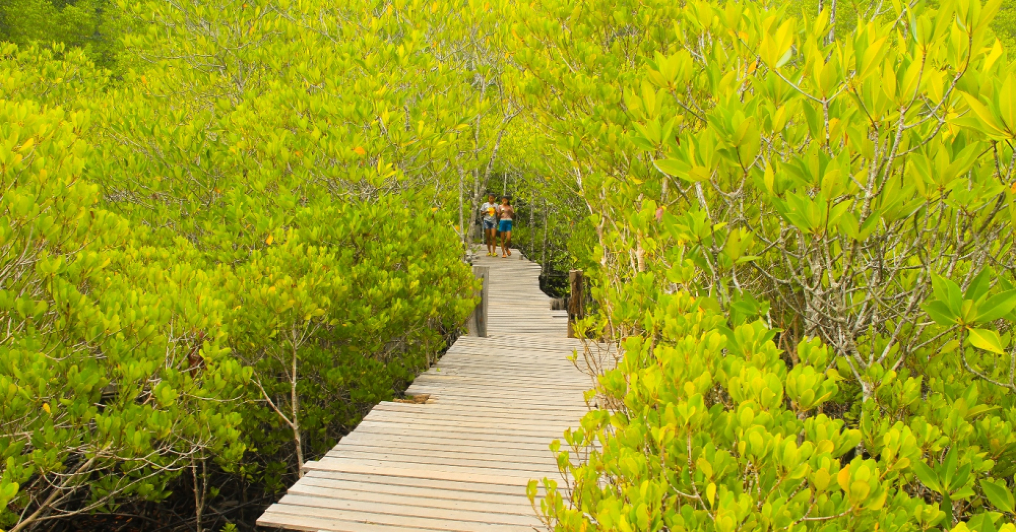 Heading to Rayong? There’s an app for that