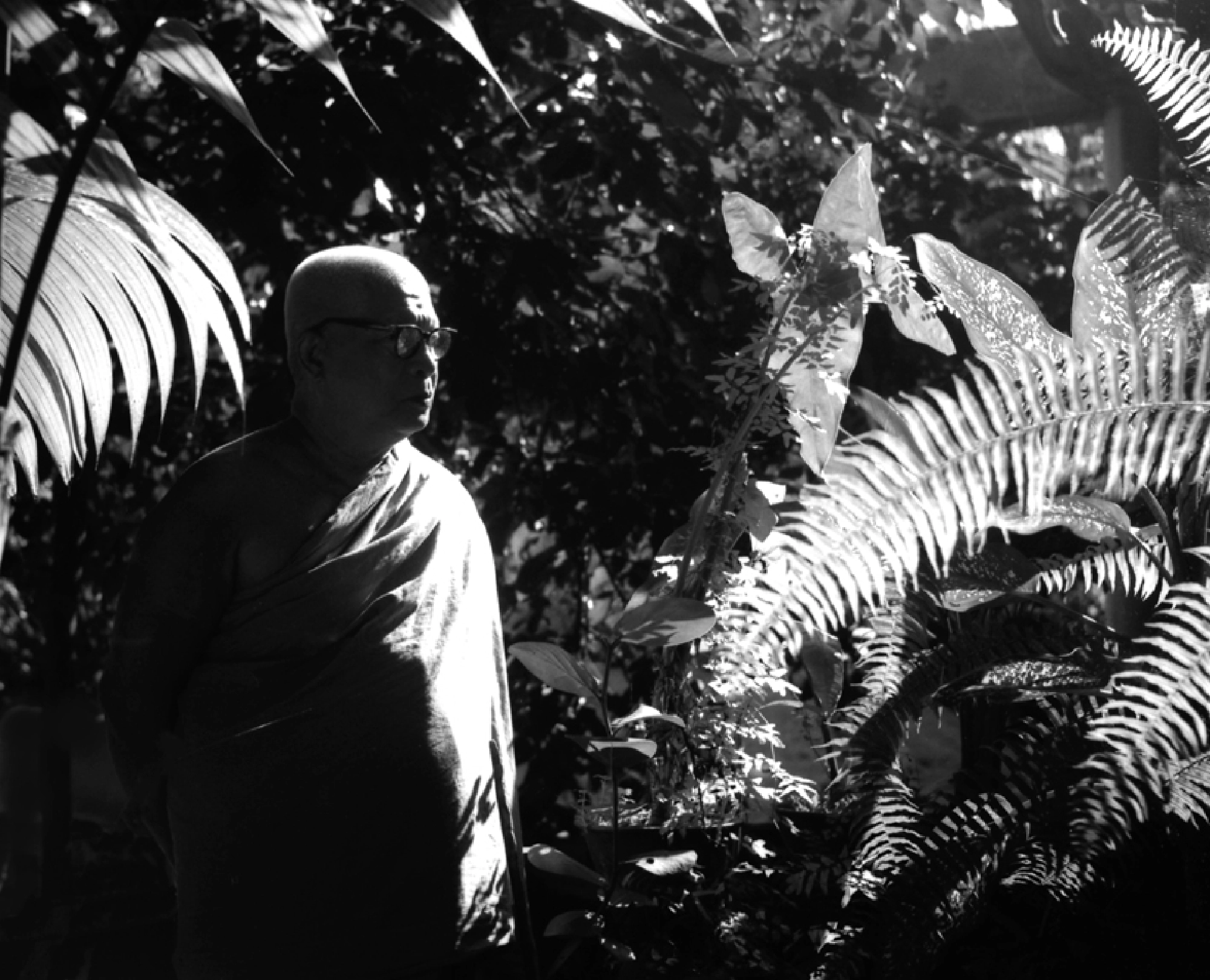 In memory of a revered monk