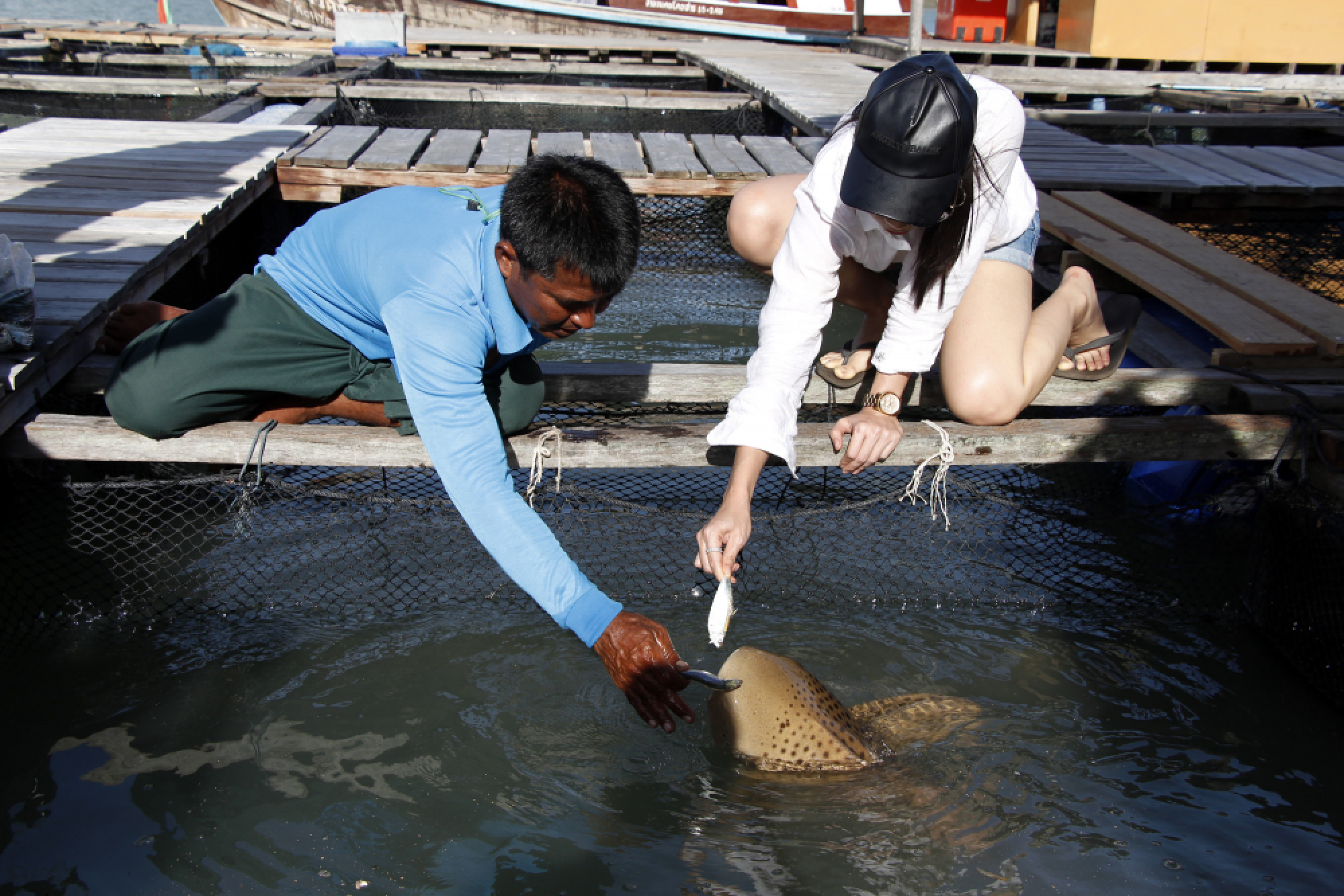Picnicking with Nemo