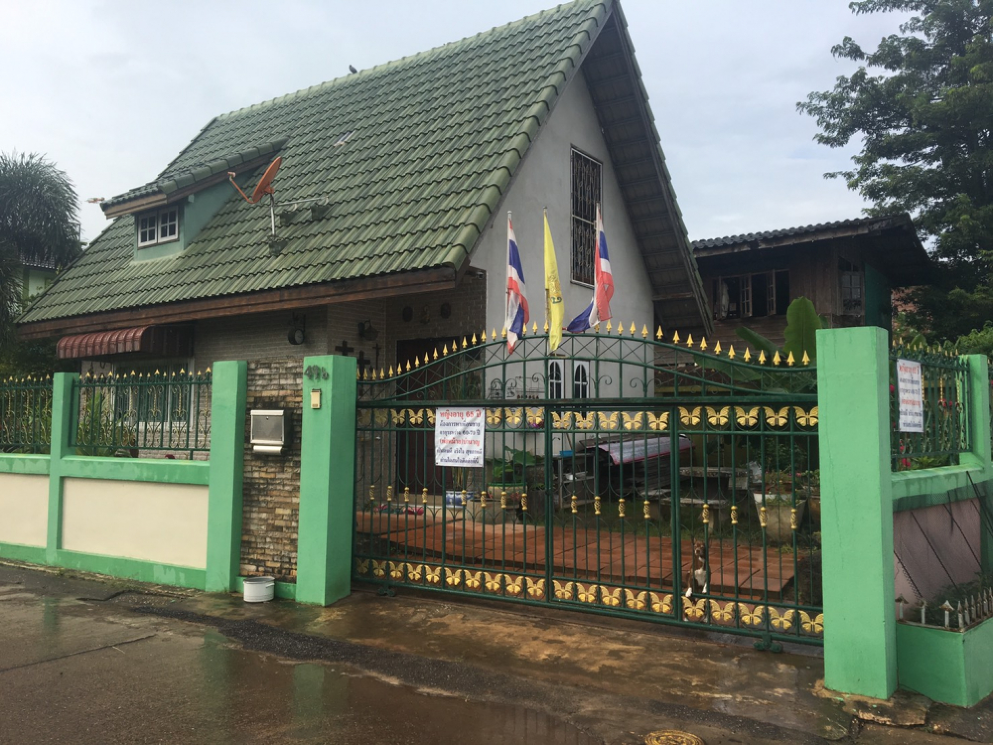 Woman,65, puts up sign to recruit boyfriend