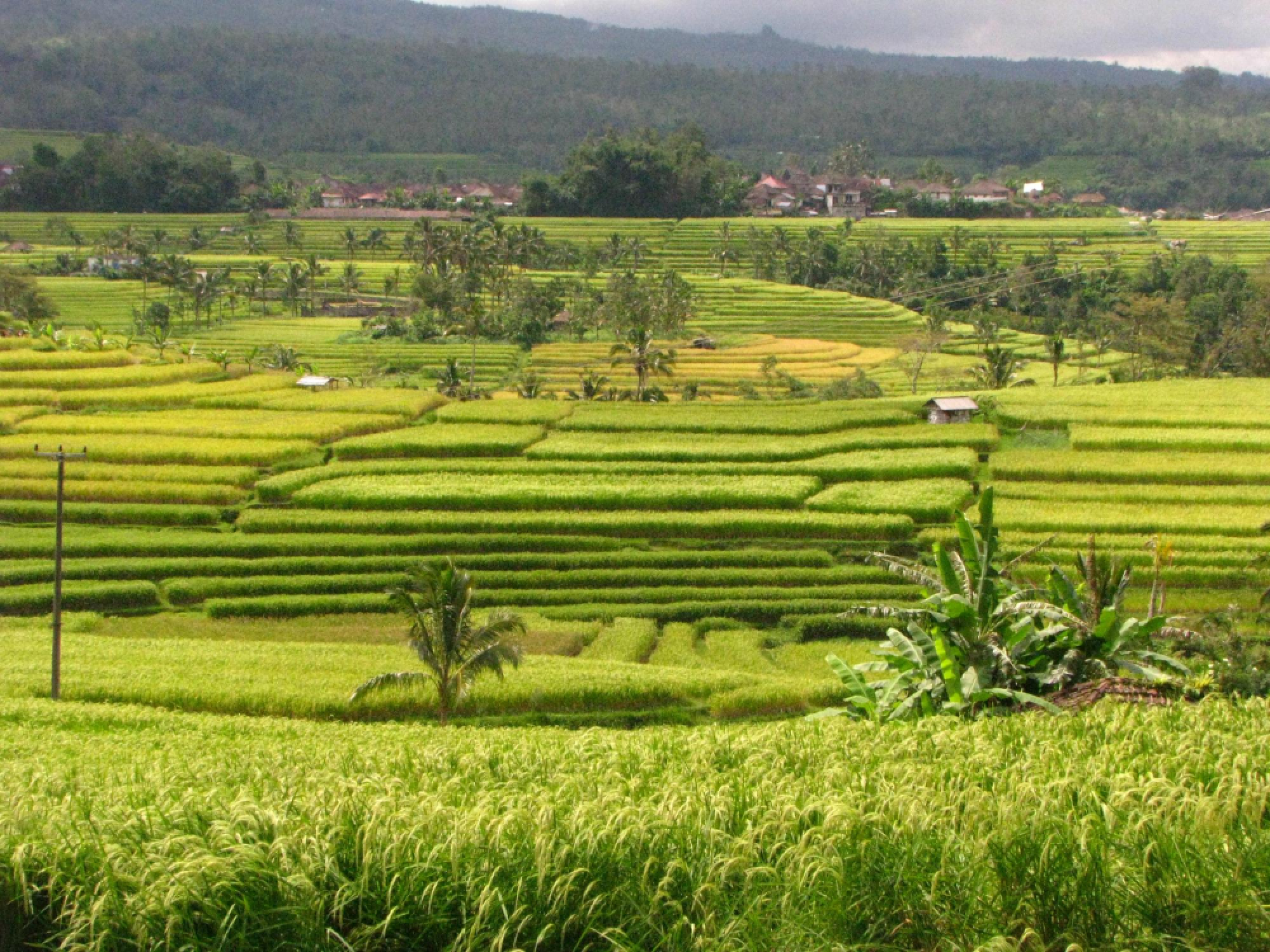 Where to go in Southeast Asia
