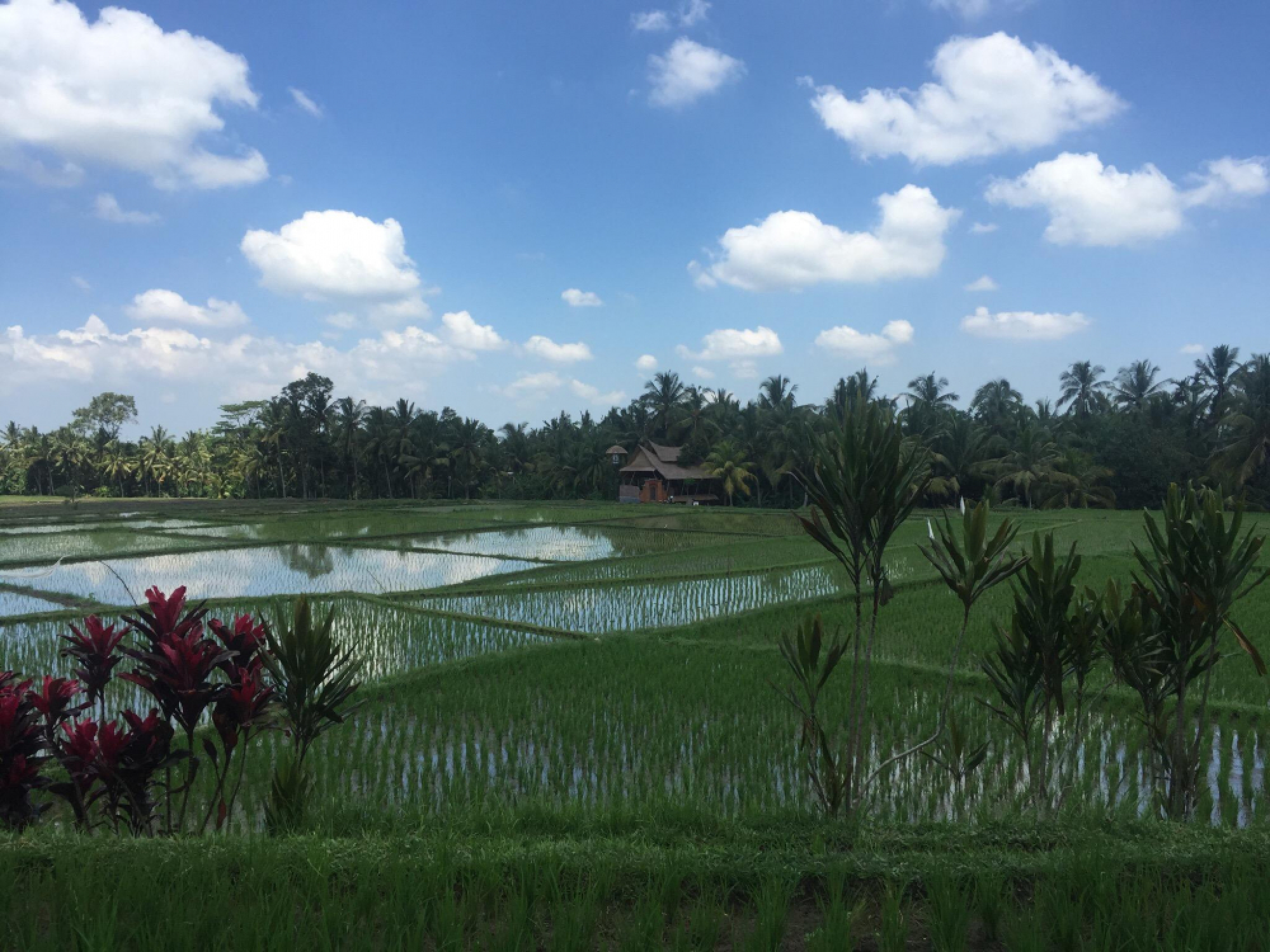 Where to go in Southeast Asia