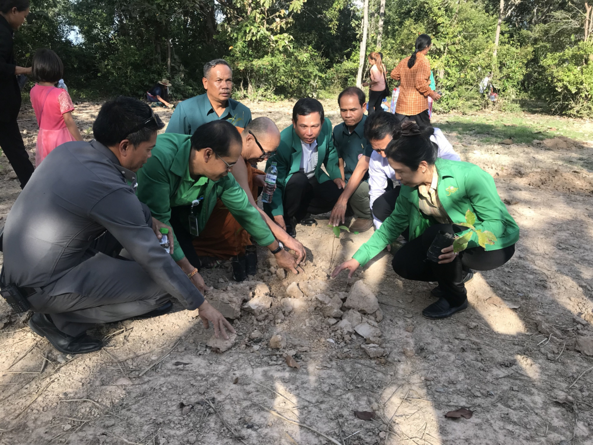 Debt-ridden farmers urged to participate in Tree Bank scheme