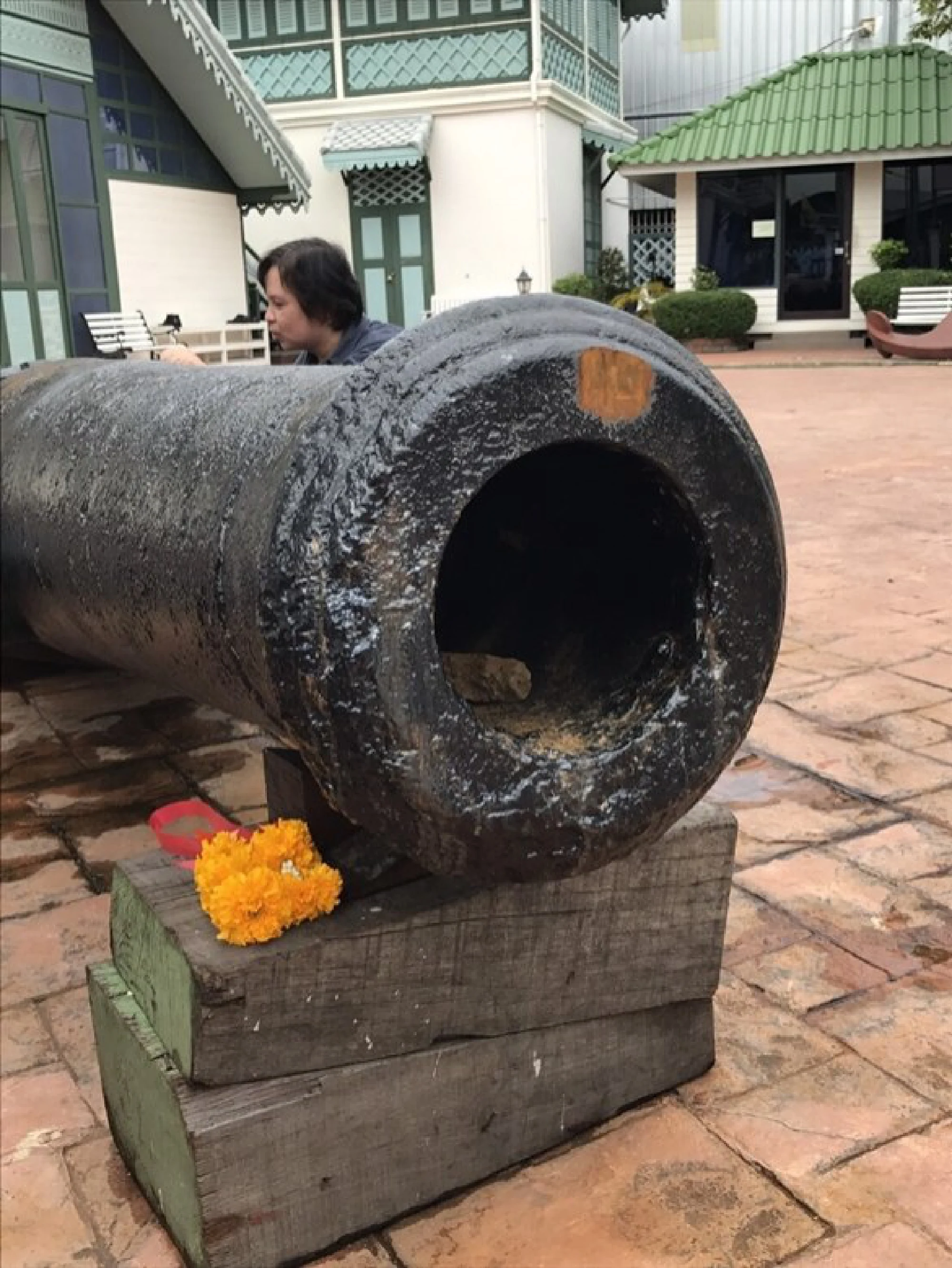 Navy allowed to keep, exhibit 12 old cannons