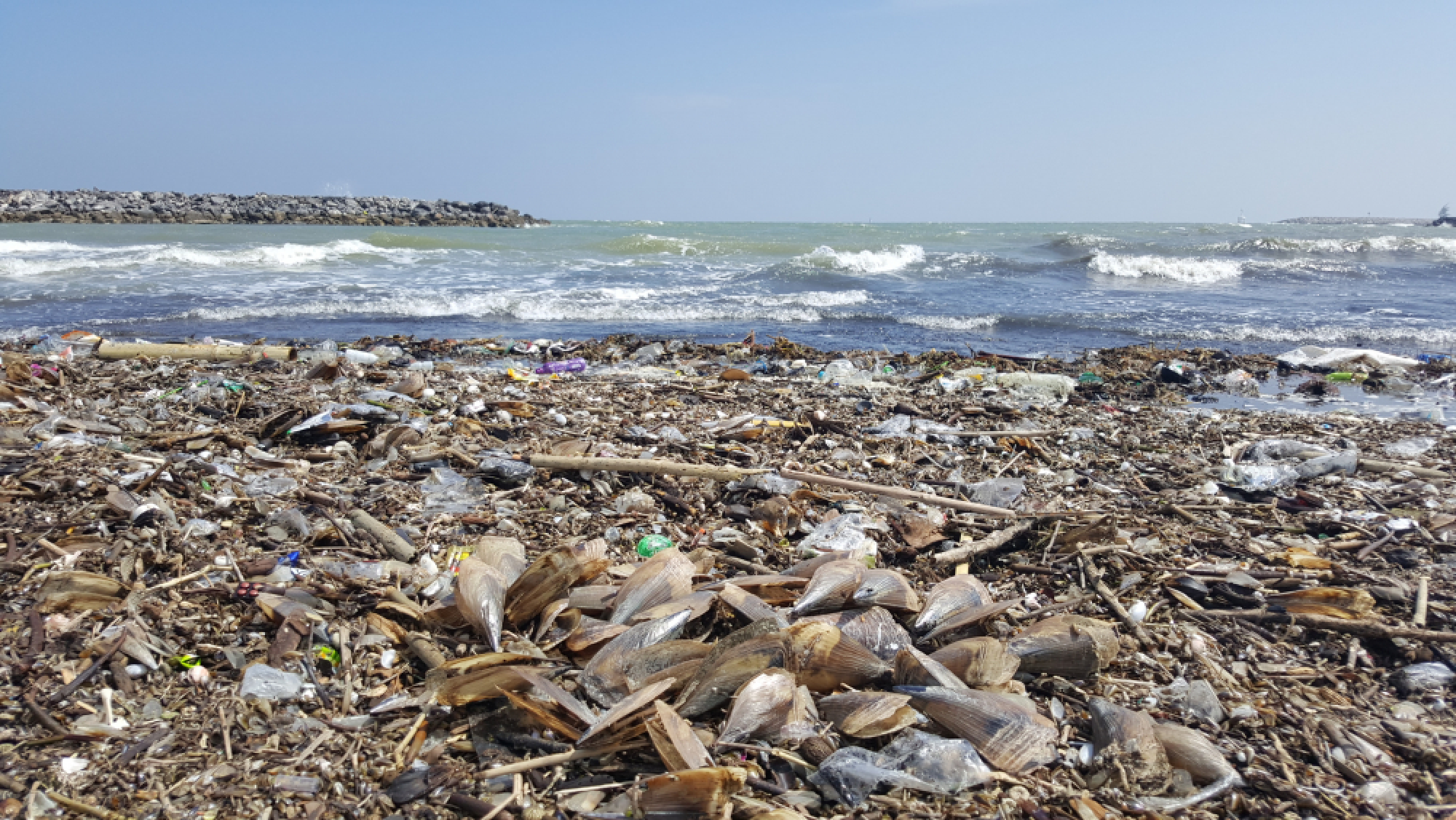 Cutting plastic waste pollution at sea on agenda at Asean-China meeting in Phuket
