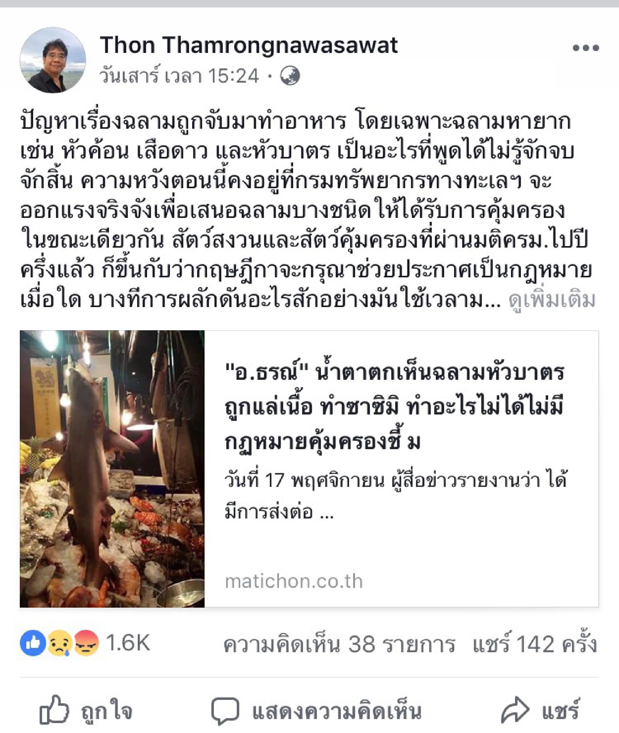 Check for protected shark meat in Karon restaurant