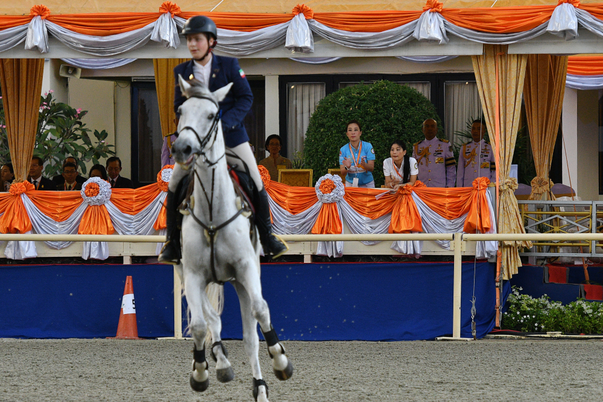 Royal enjoy horse show
