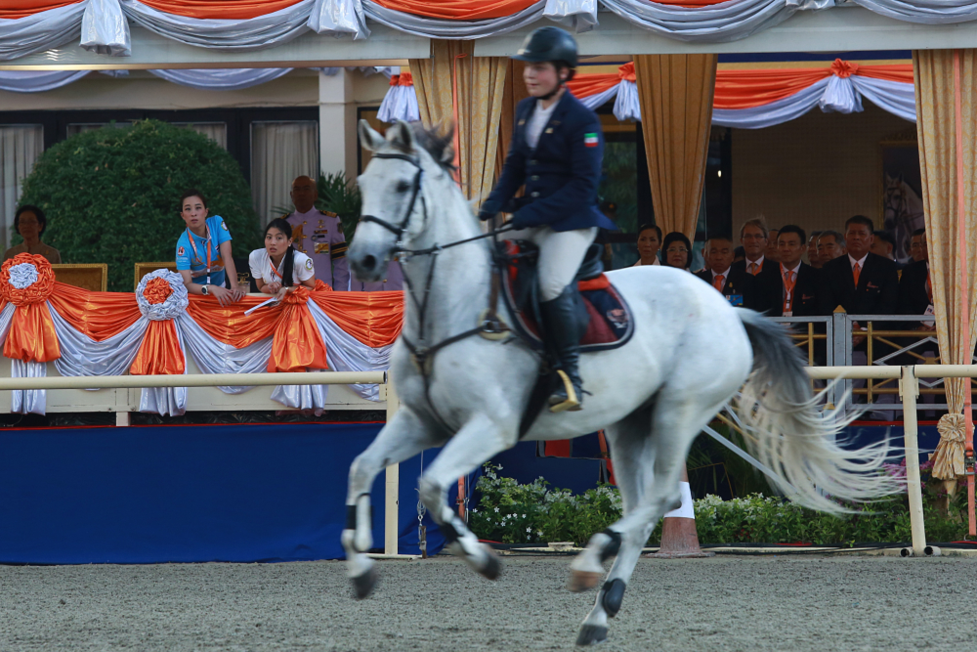 Royal enjoy horse show