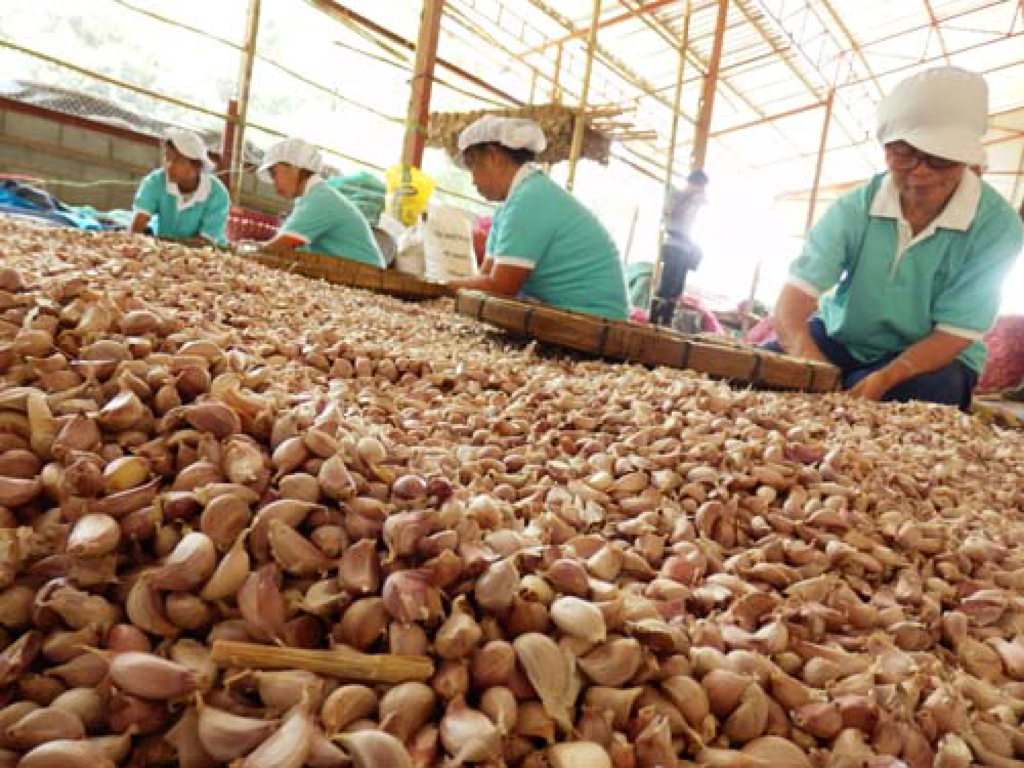 Pulling together for the greater good