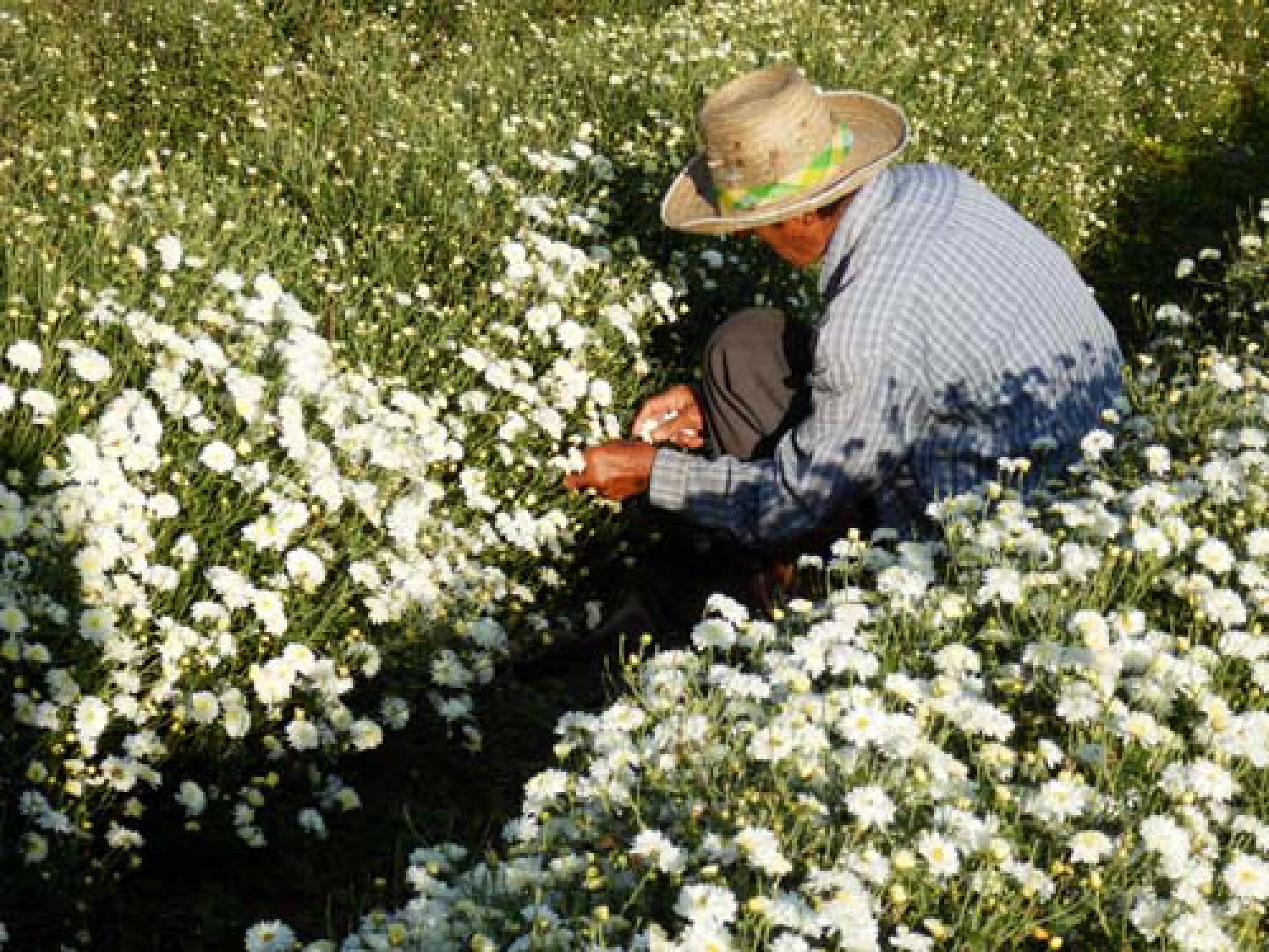 Pulling together for the greater good