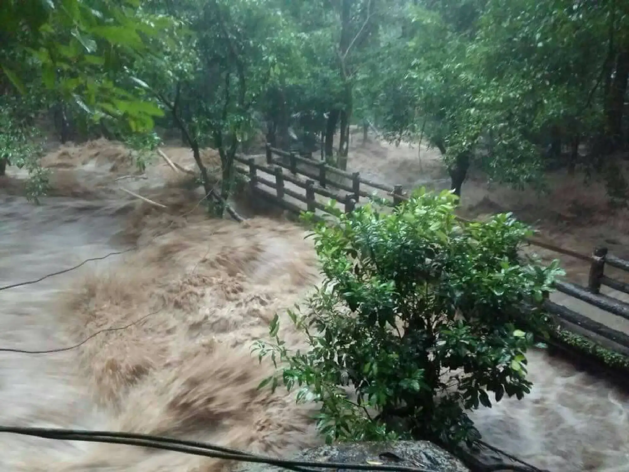 Flood disaster declared in 5 Trang districts amid closures