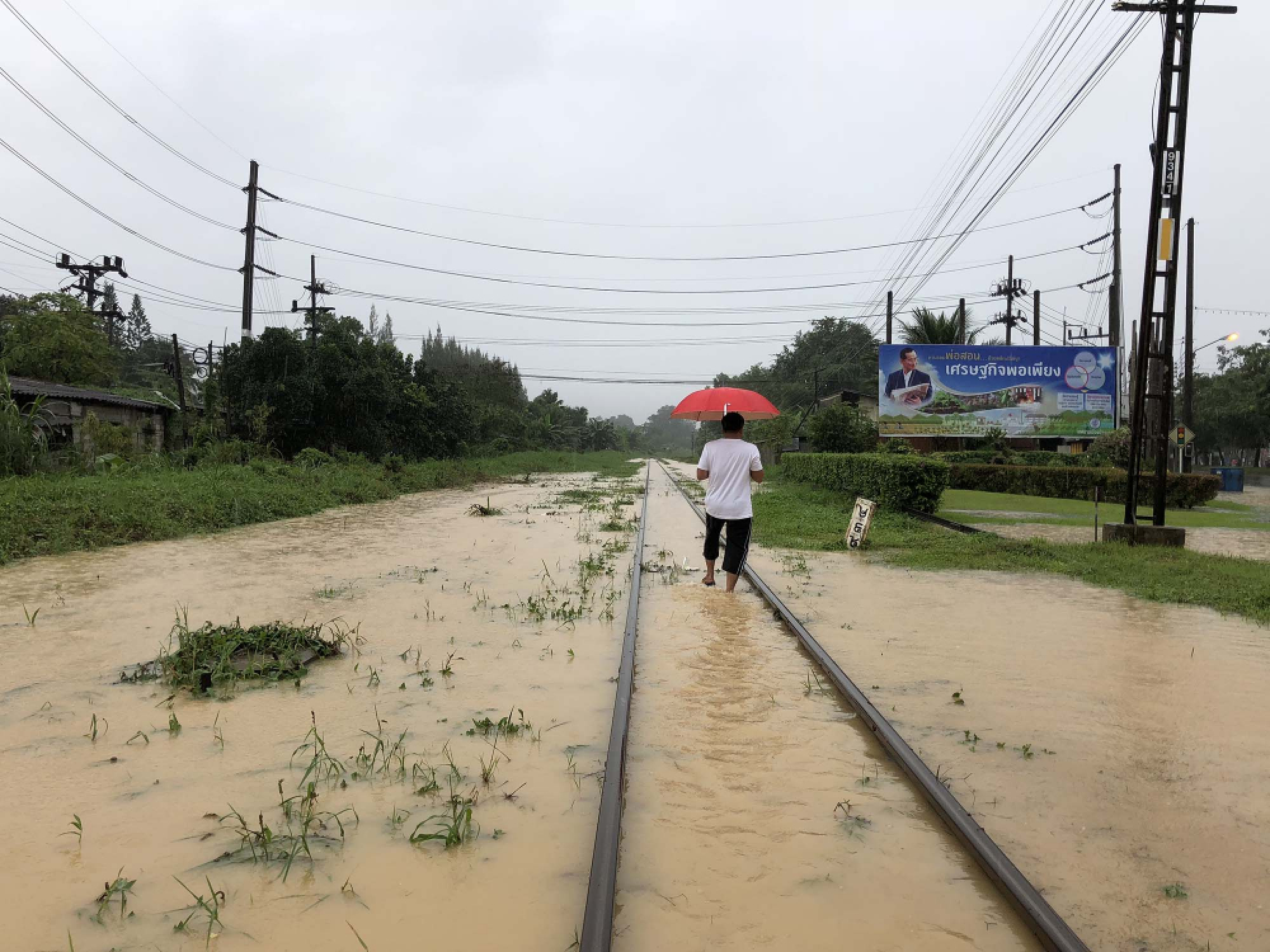 Flood disaster declared in 5 Trang districts amid closures