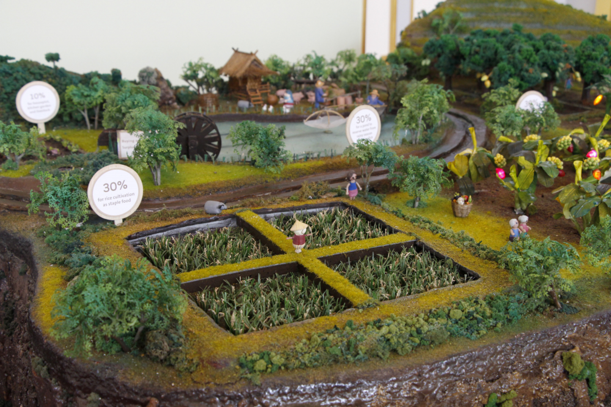 Splendour amidst the sadness