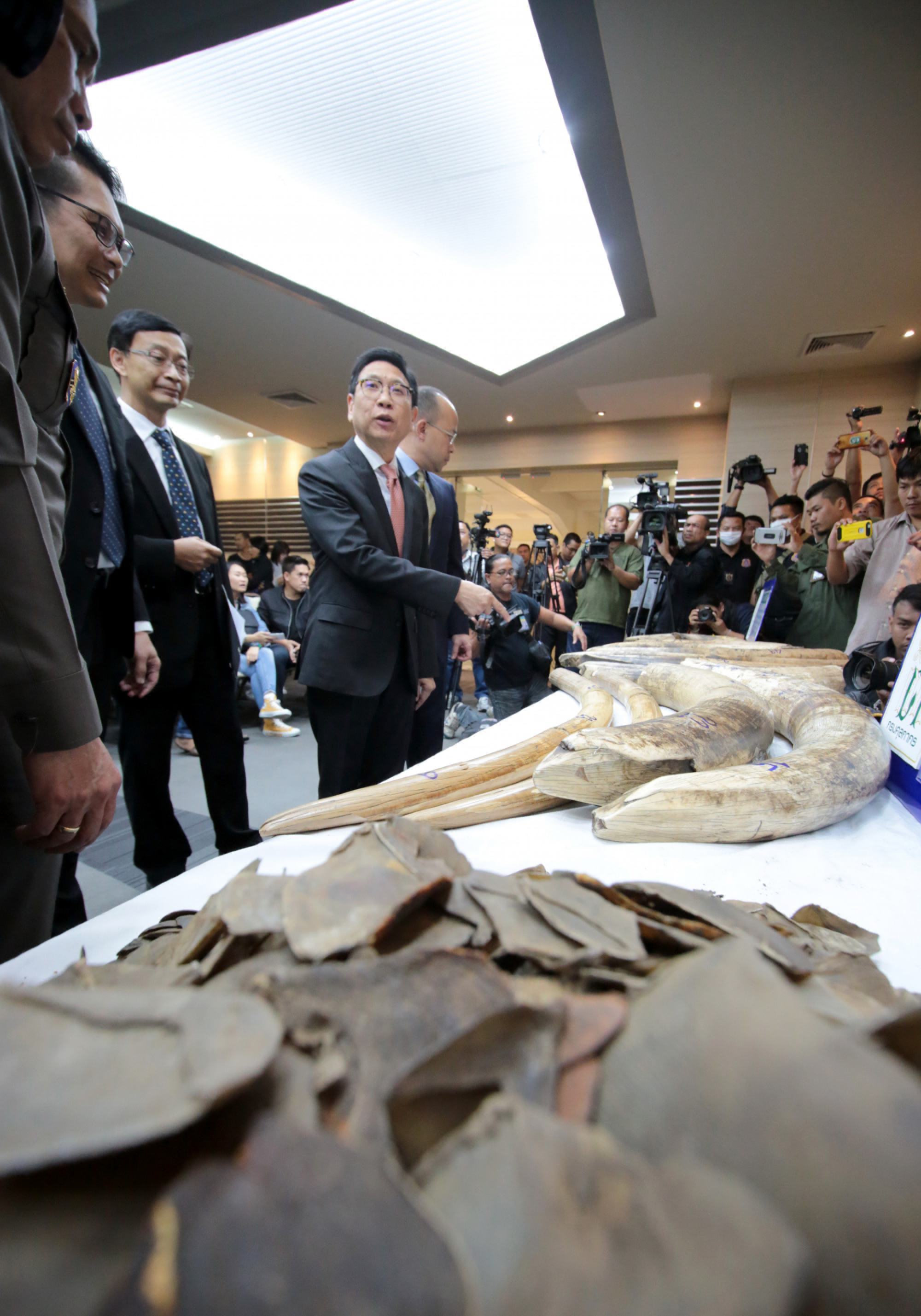 Haul of 116 kilograms of ivory and pangolin scales seized
