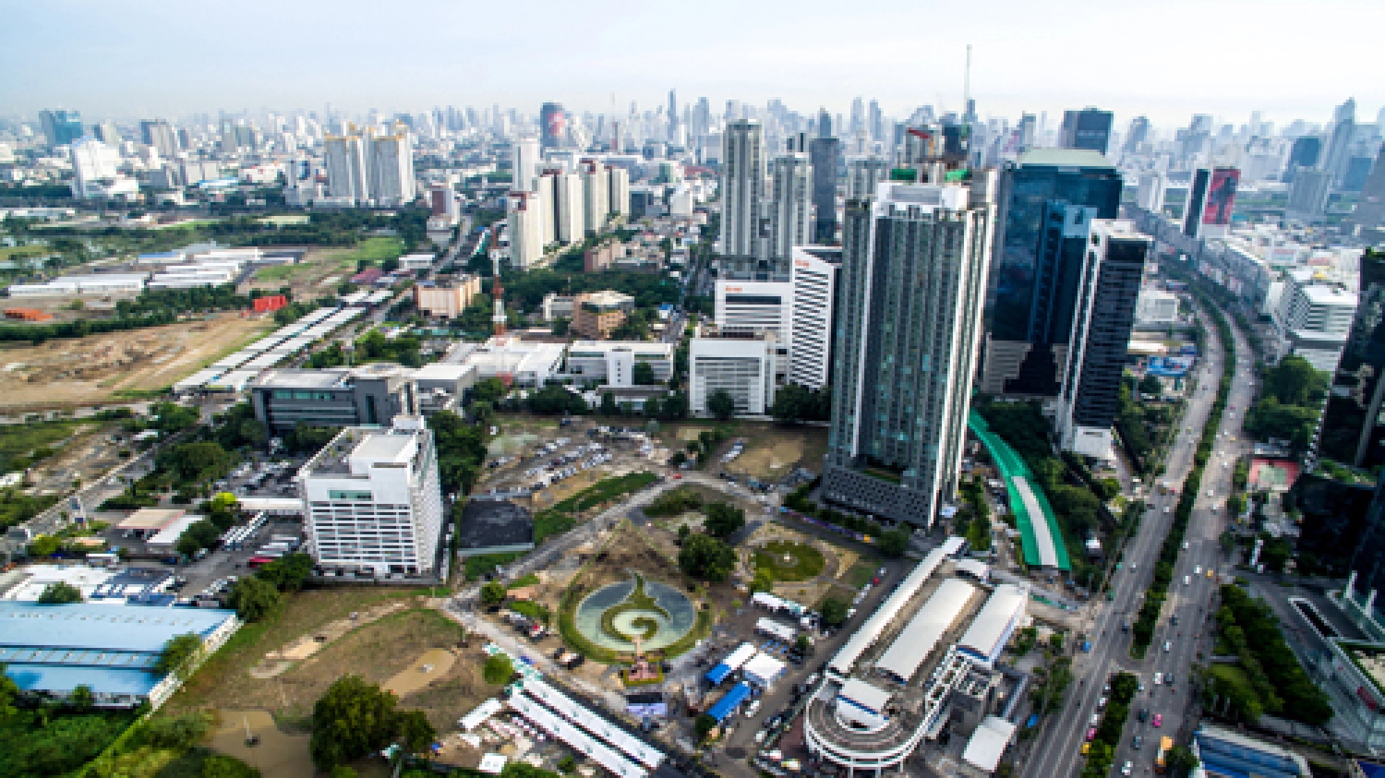 Planting a sea of yellow