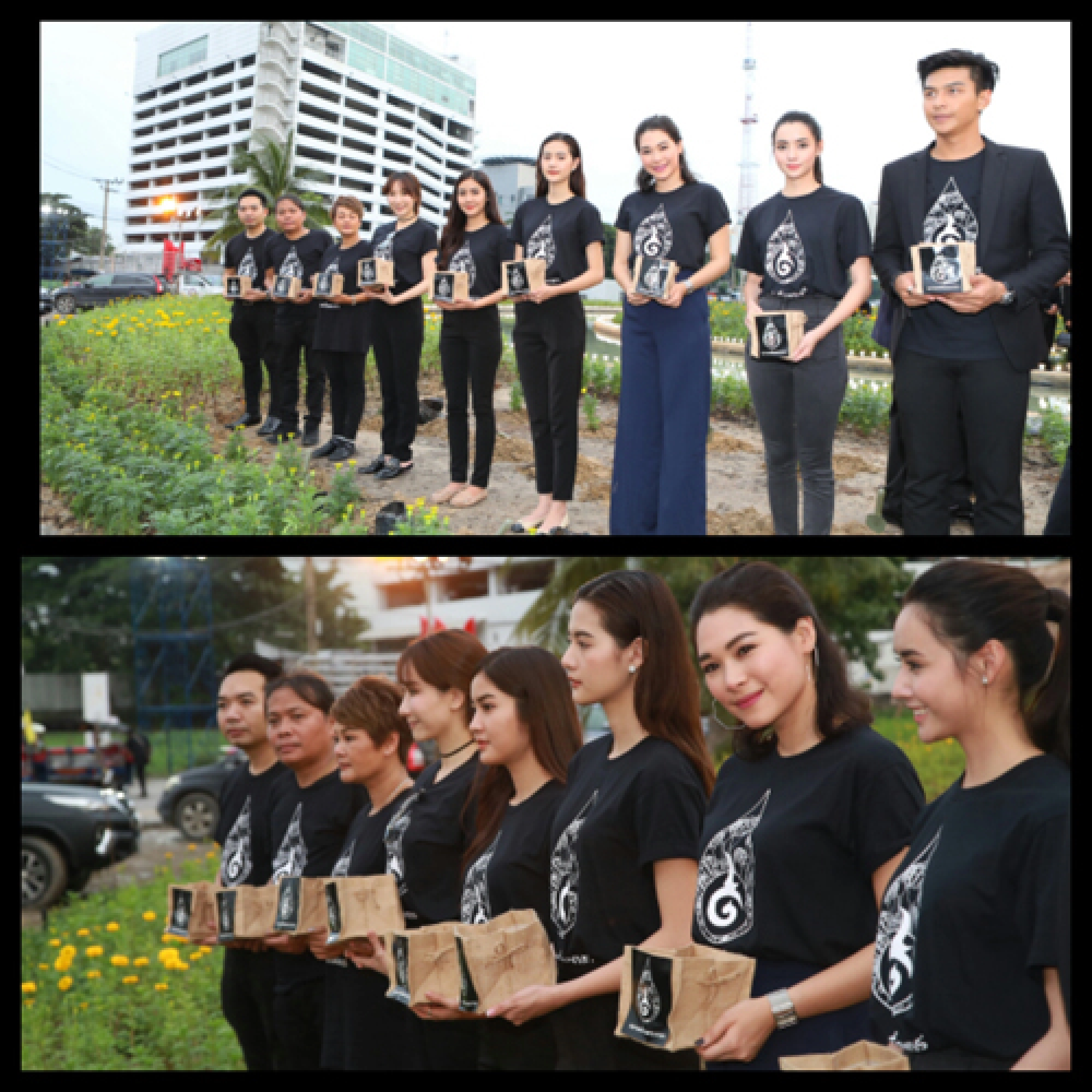 Planting a sea of yellow