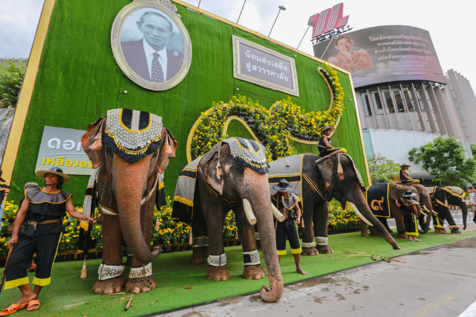 Elephant artists, and mobile blood donation honour late king