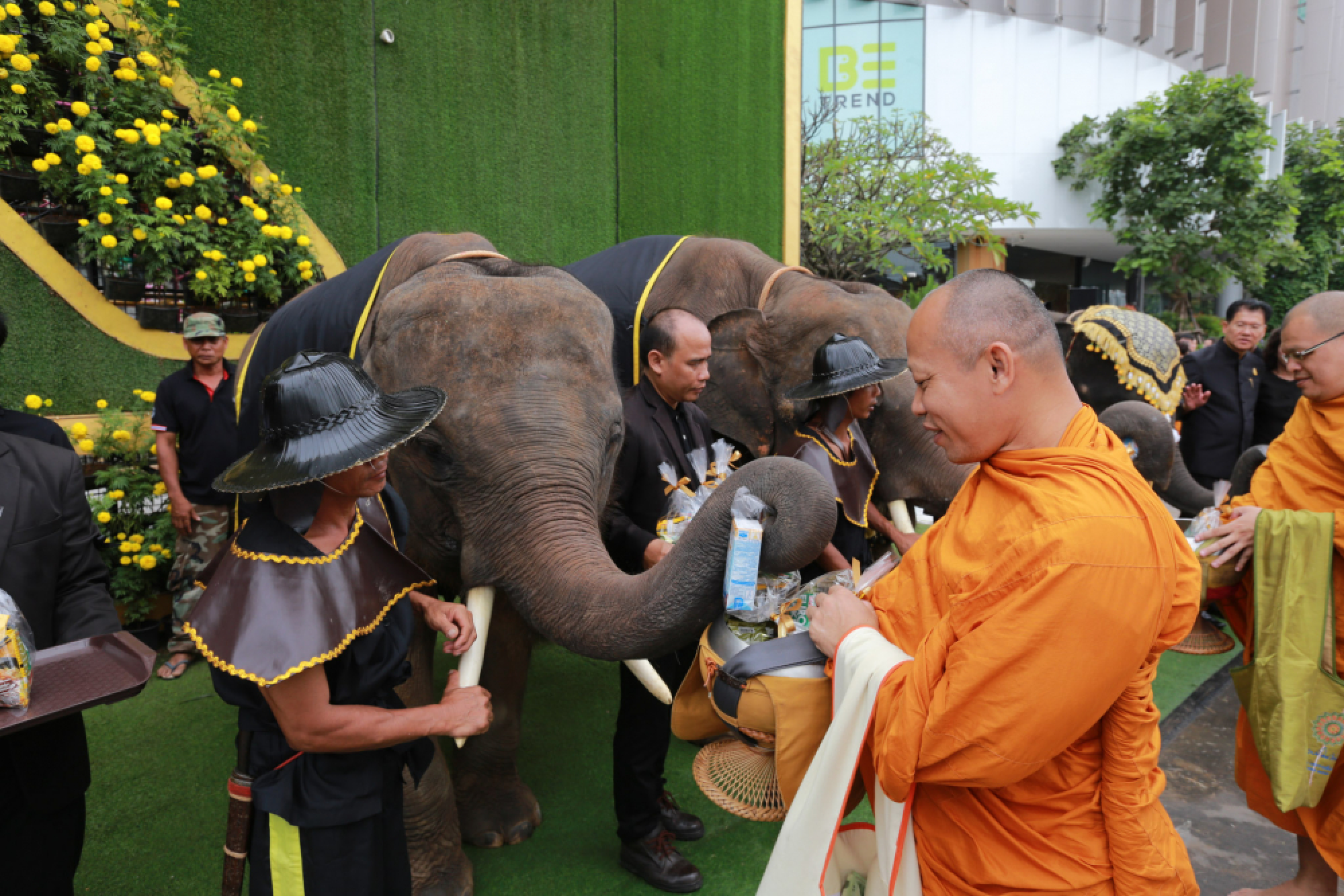 Elephant artists, and mobile blood donation honour late king