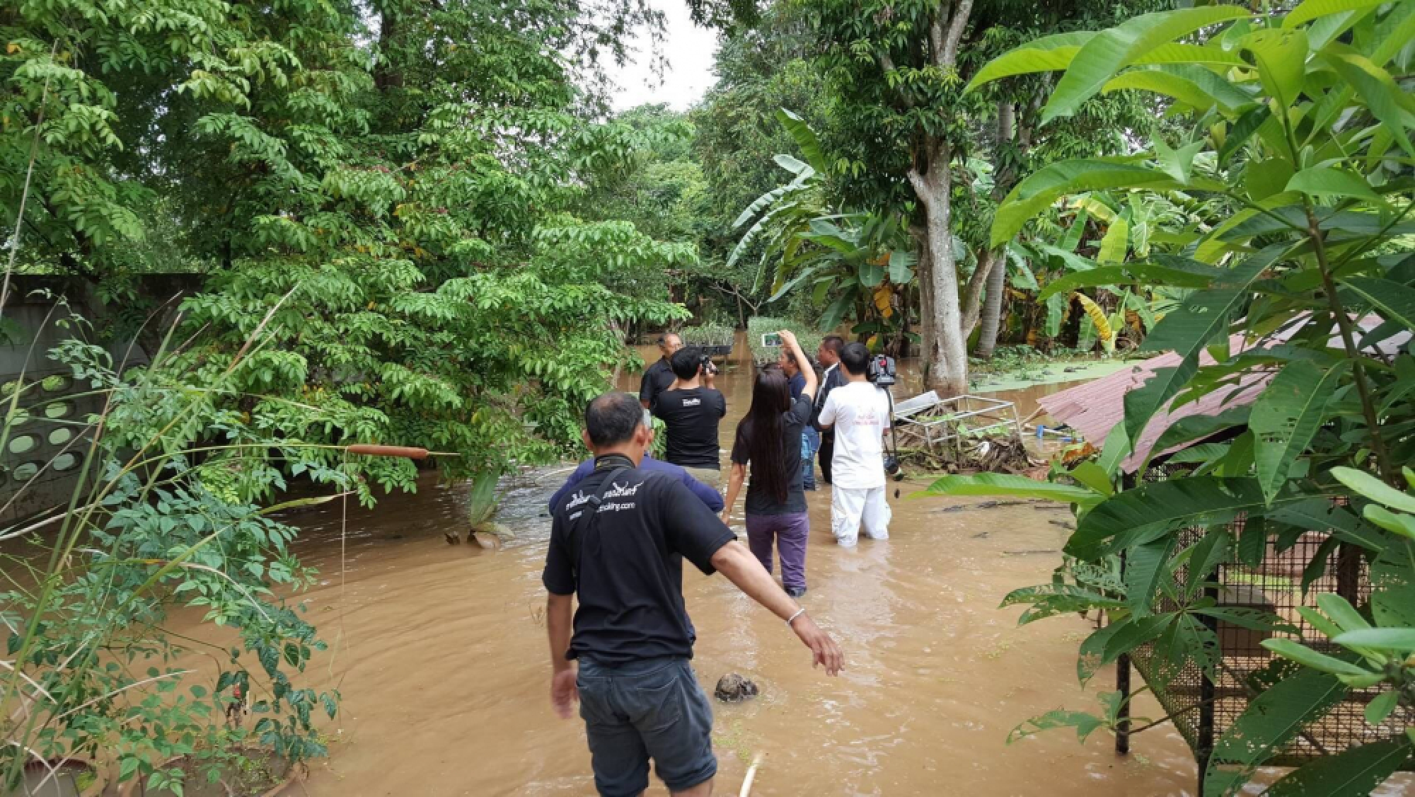 Farm owner in trouble over escape of crocodile
