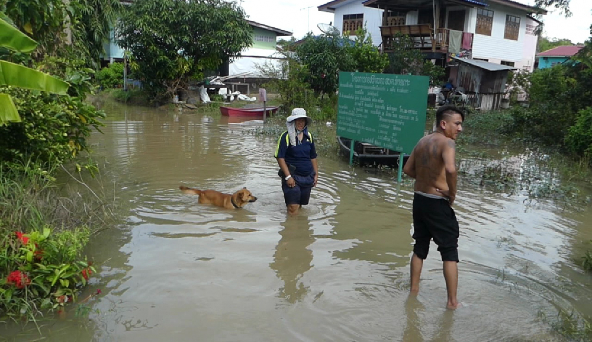 Victims of floods can sue, say academics