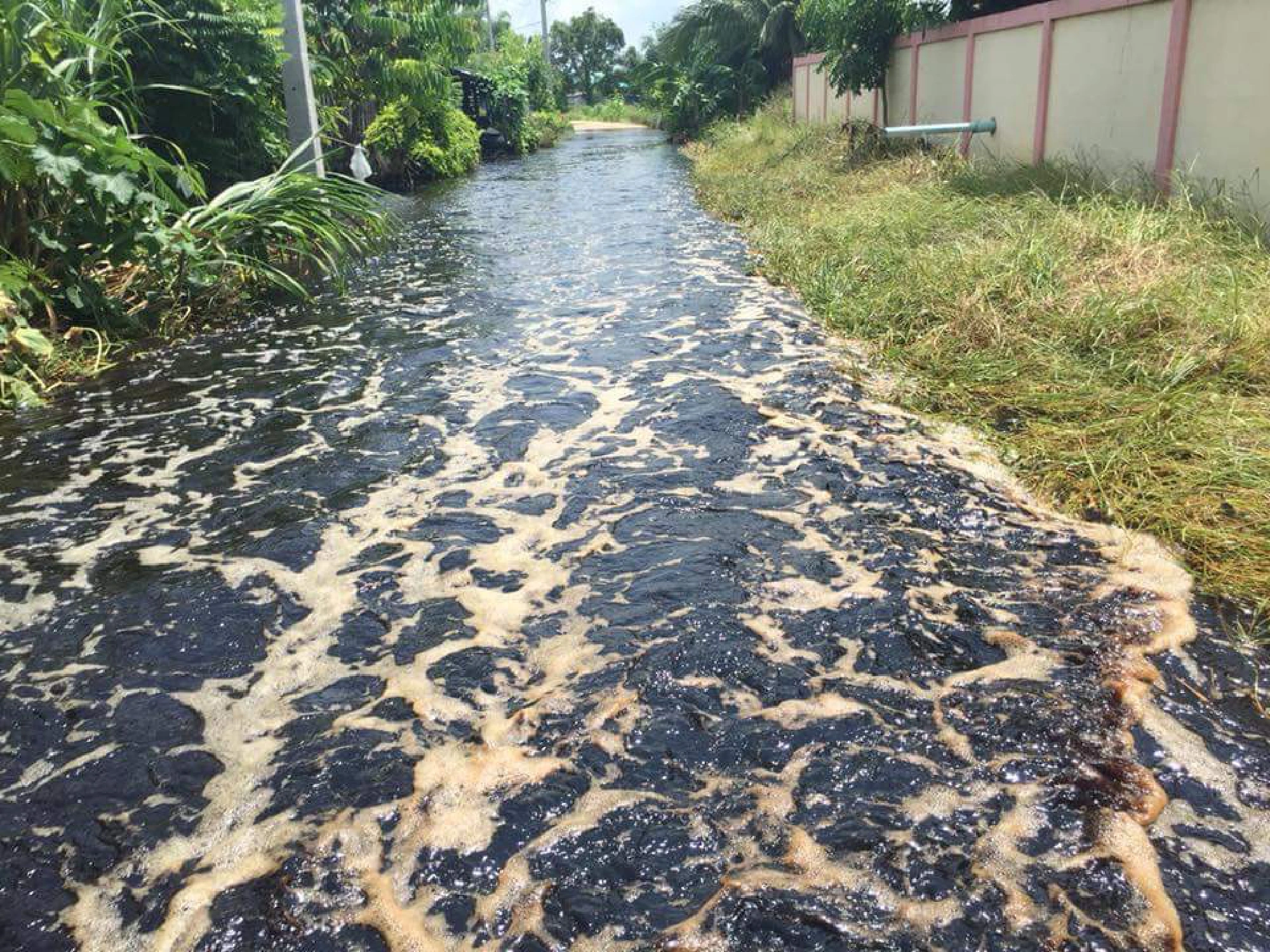 Ethanol plant closed after waste spill