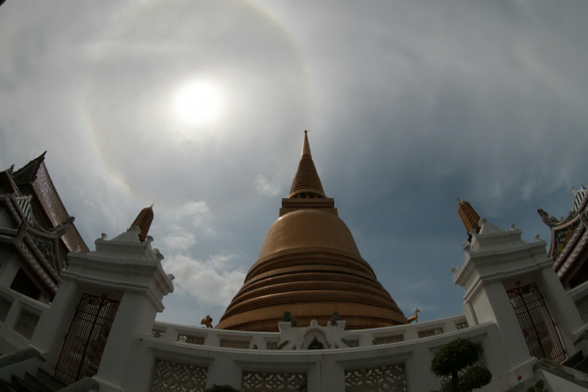 To the final earthly rest