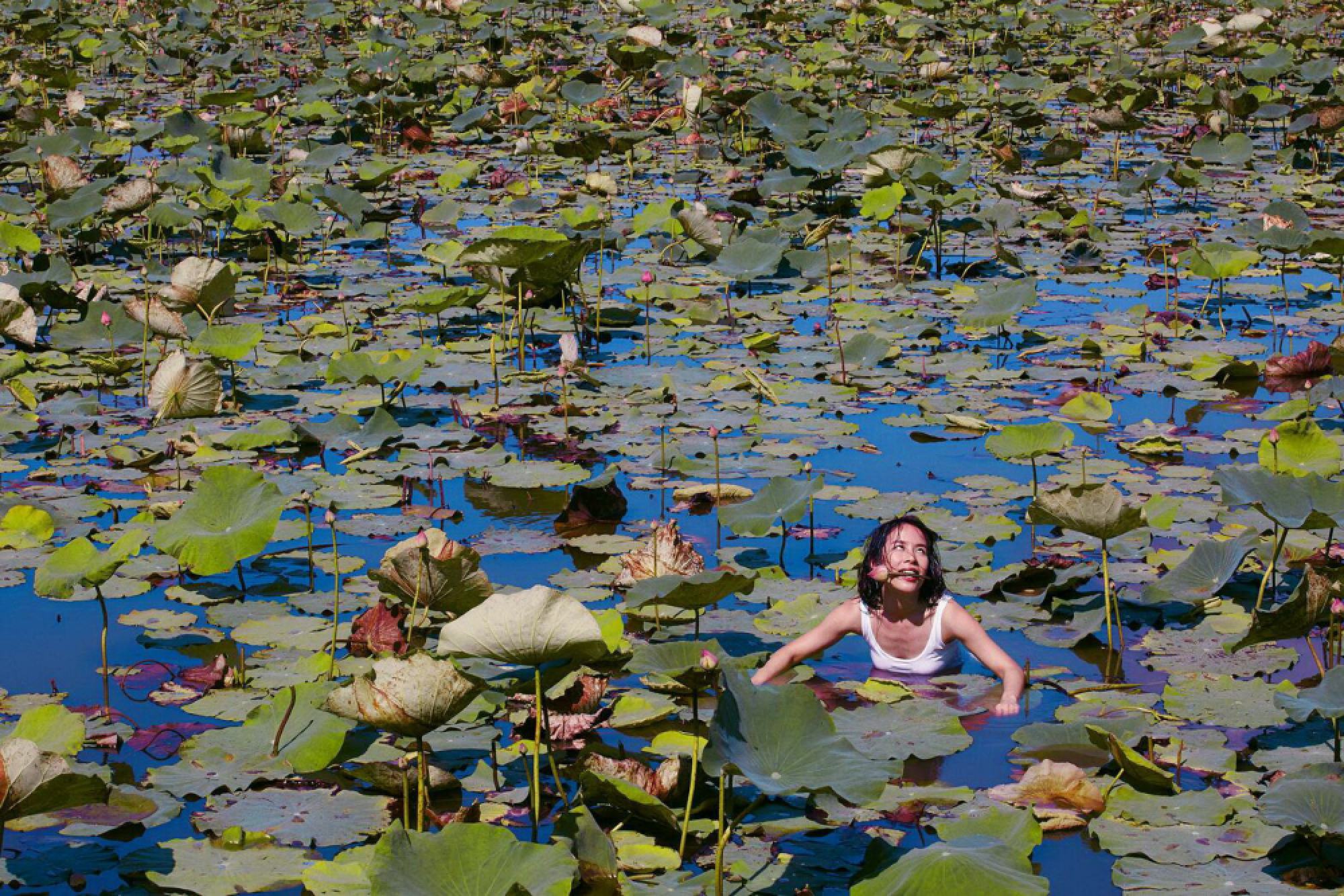 BTF’s back with a bigger bang