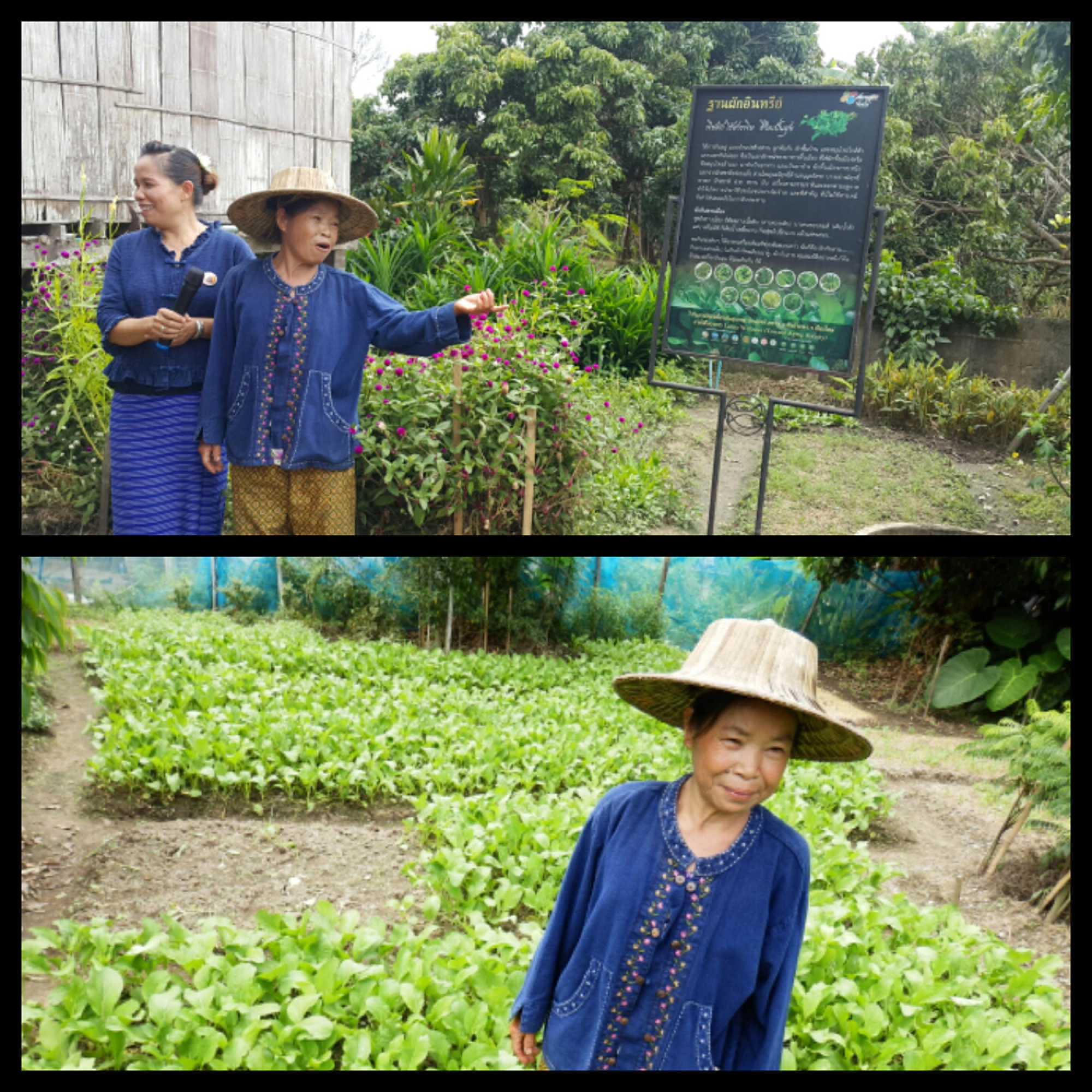 Tourism with a sustainable edge