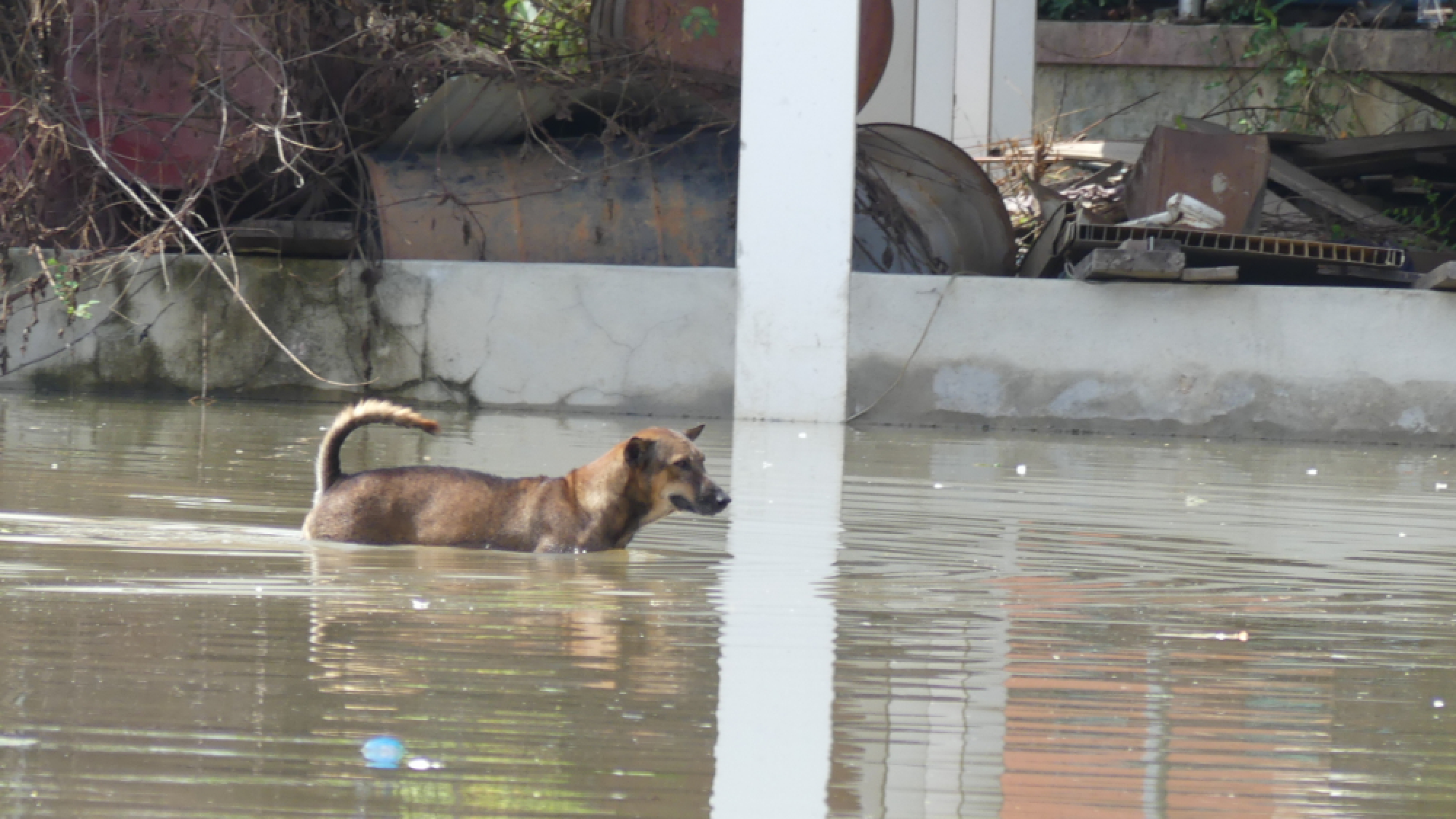 River residents warned of impending flooding