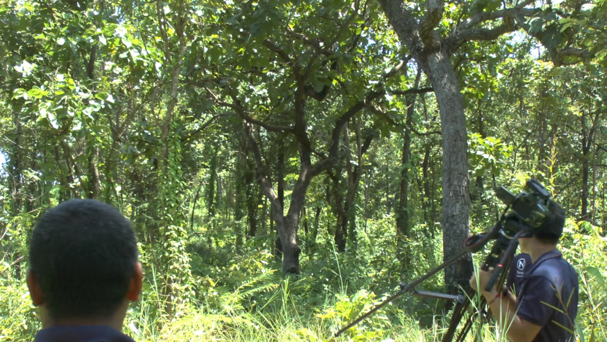 Graft complaint lodged in land use dispute