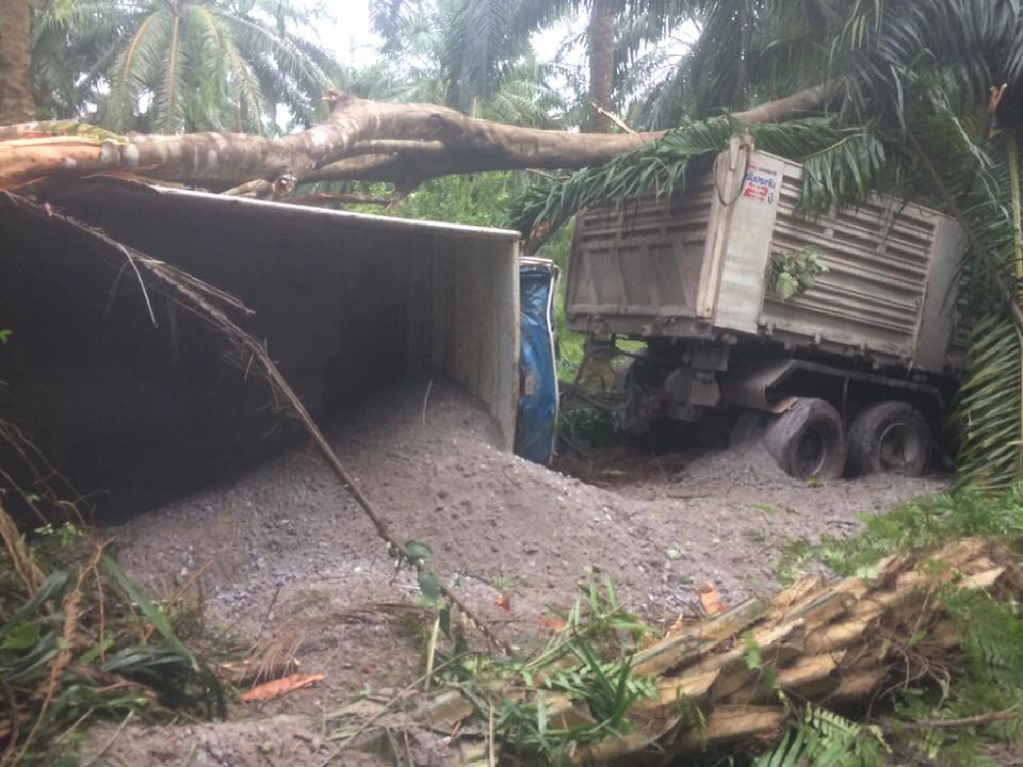 Truck driver killed in Surat Thani crash