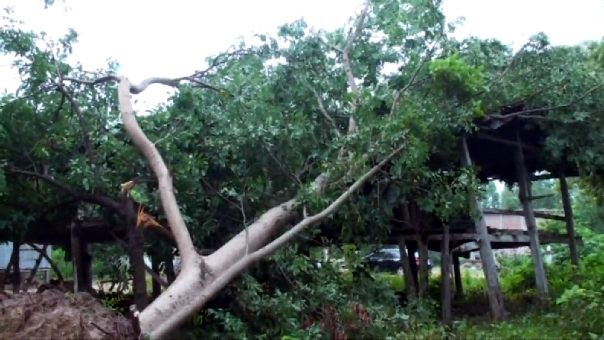 Fierce thunderstorm wreaks havoc in Chaiyaphum