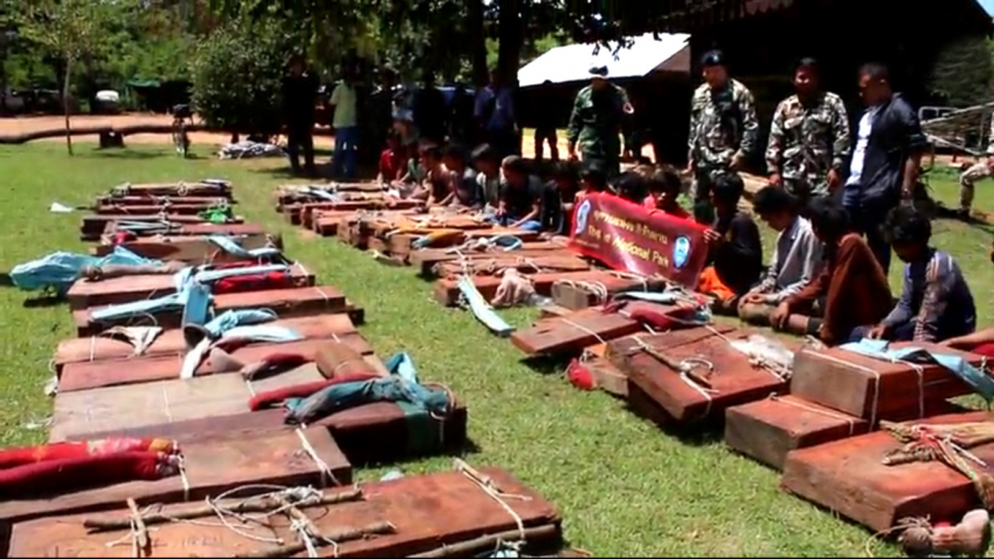 Nine more Cambodian illegal loggers arrested