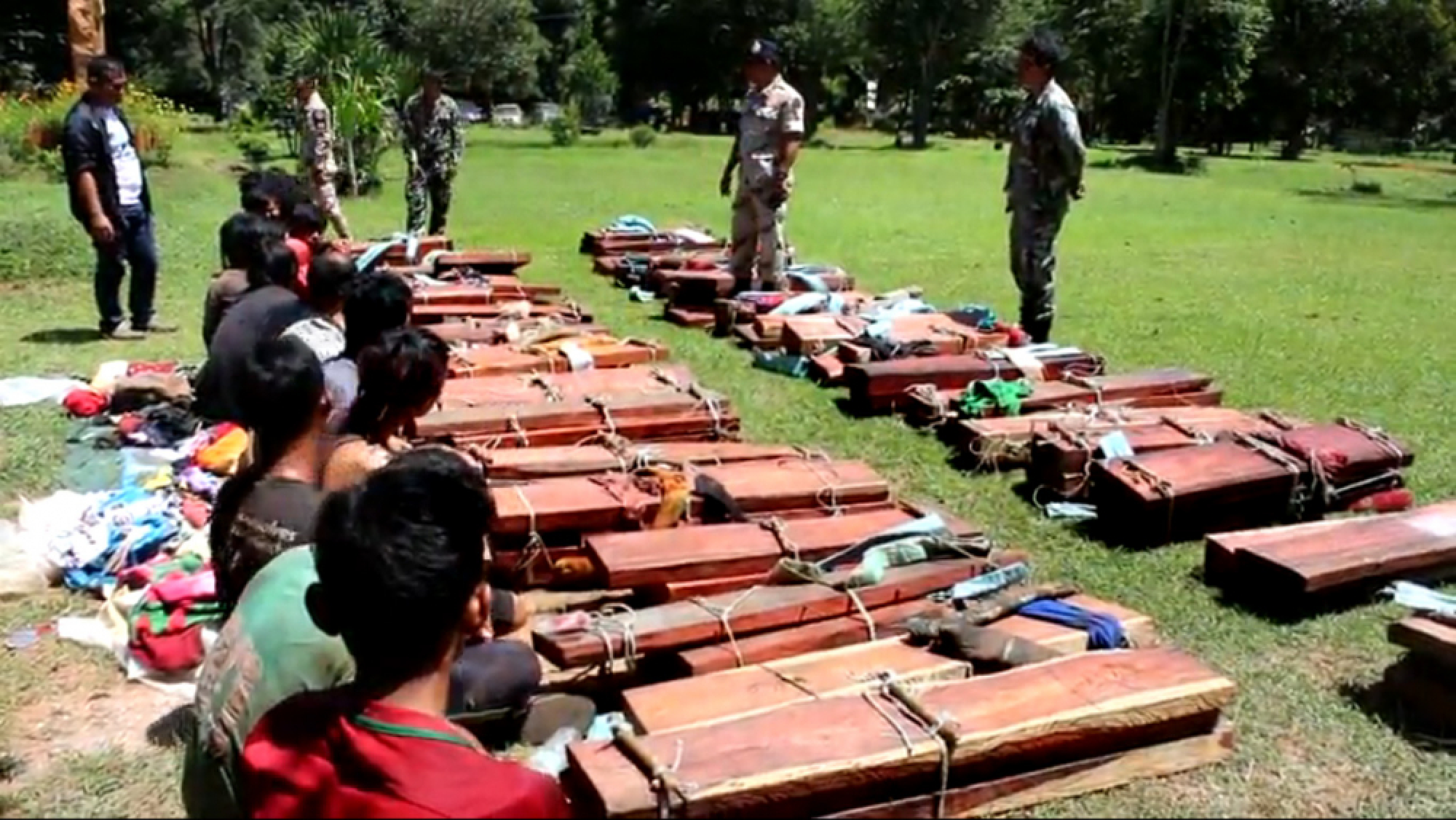 Nine more Cambodian illegal loggers arrested