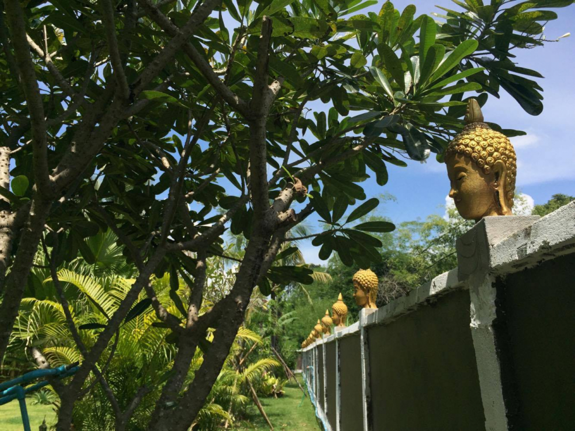Couple agrees to remove Buddha images from fence