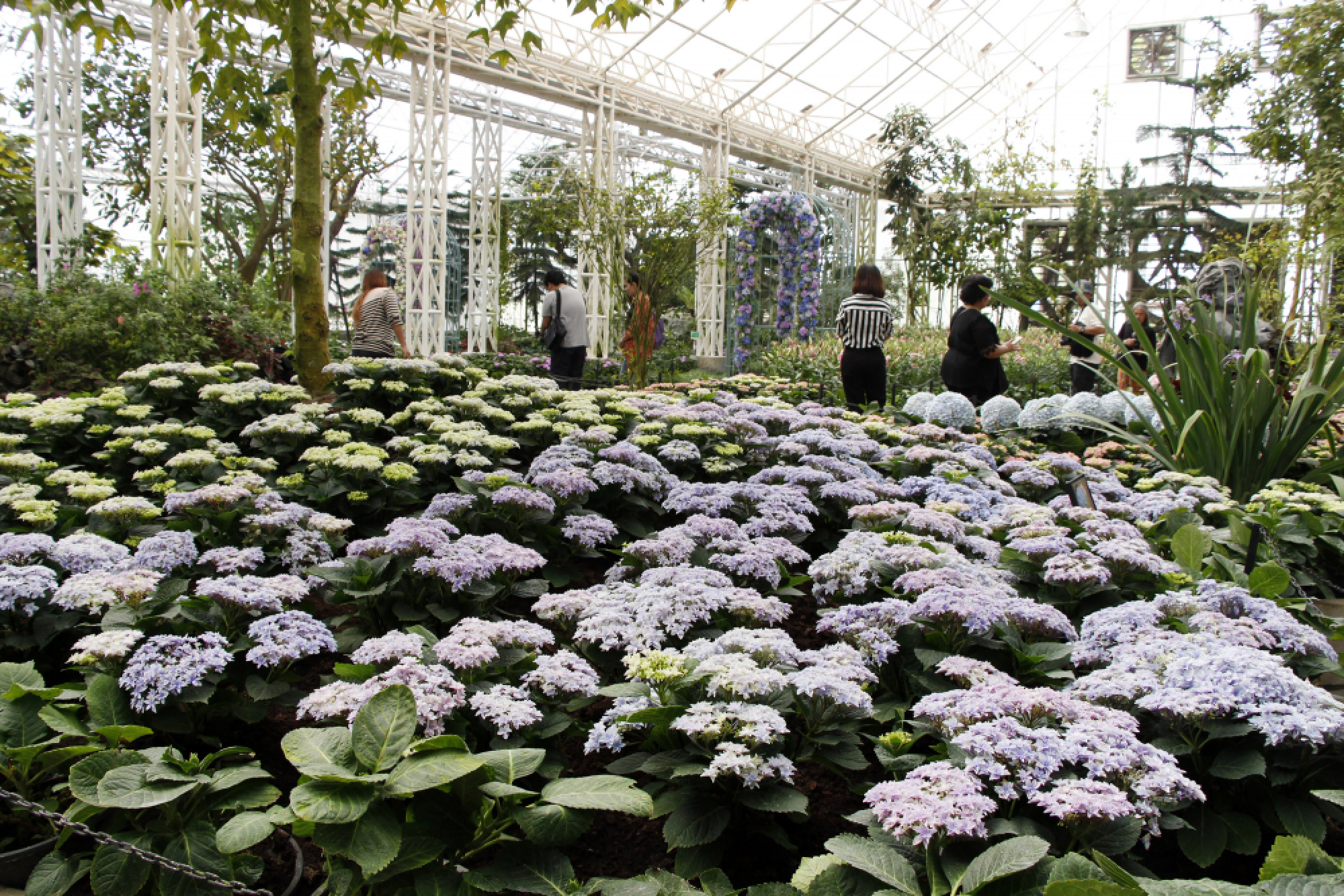 Gardens of sheer delight